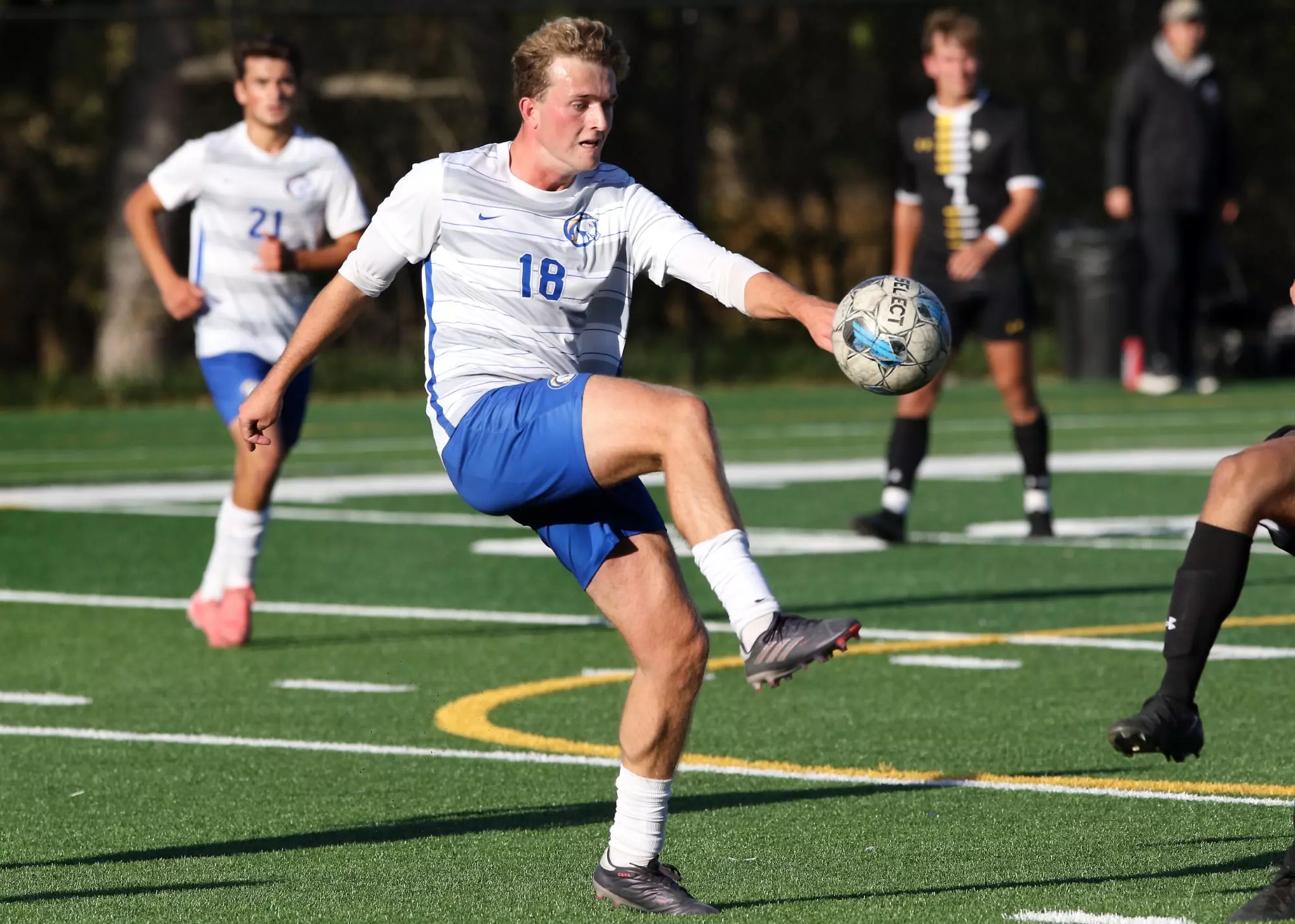 The Cliff fall 43 to DWU Briar Cliff University