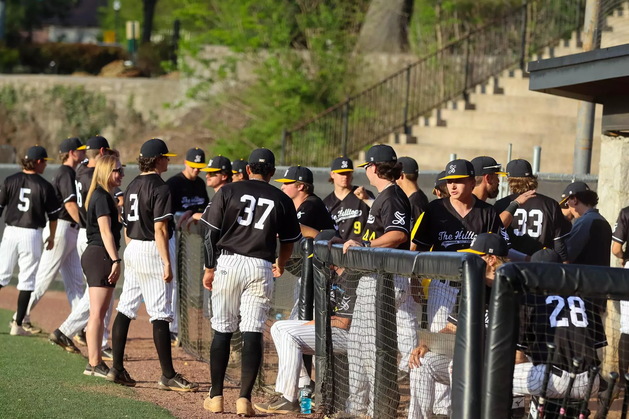 team-at-oglethorpe