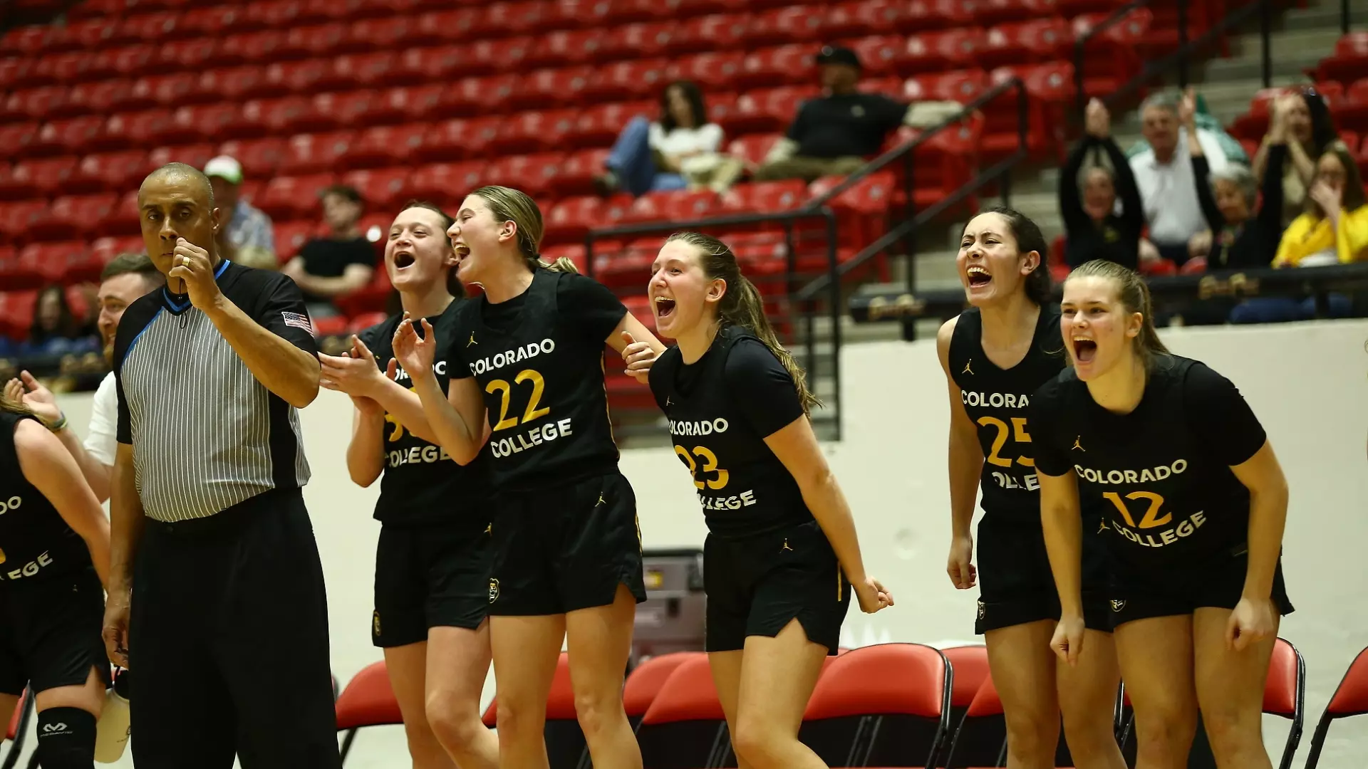 Bench Celly