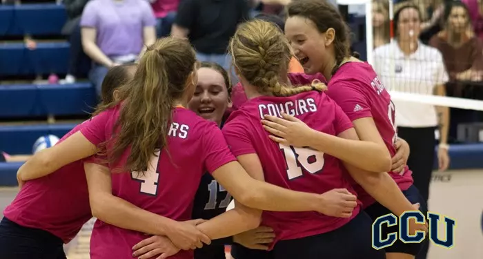 VB Team