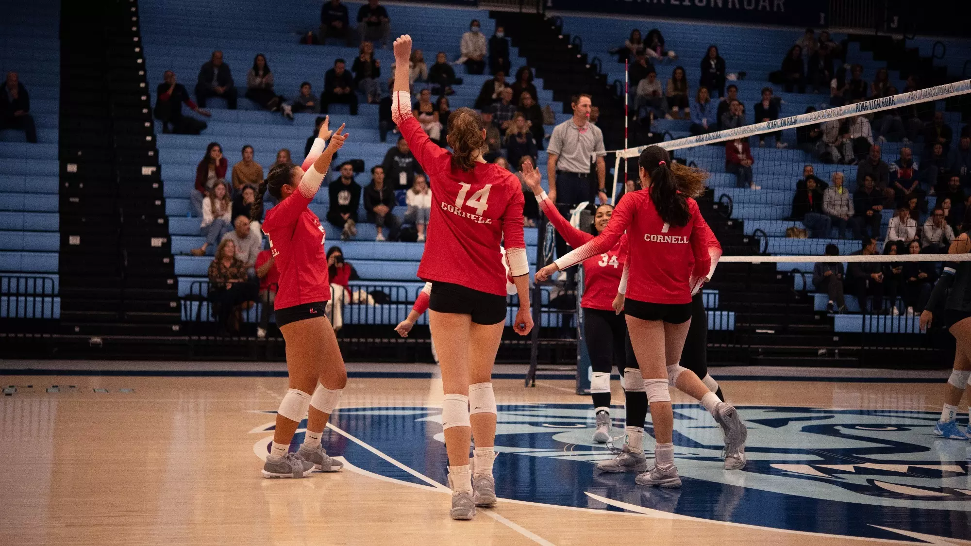 Cornell Sweeps Columbia on the Road Cornell University Athletics