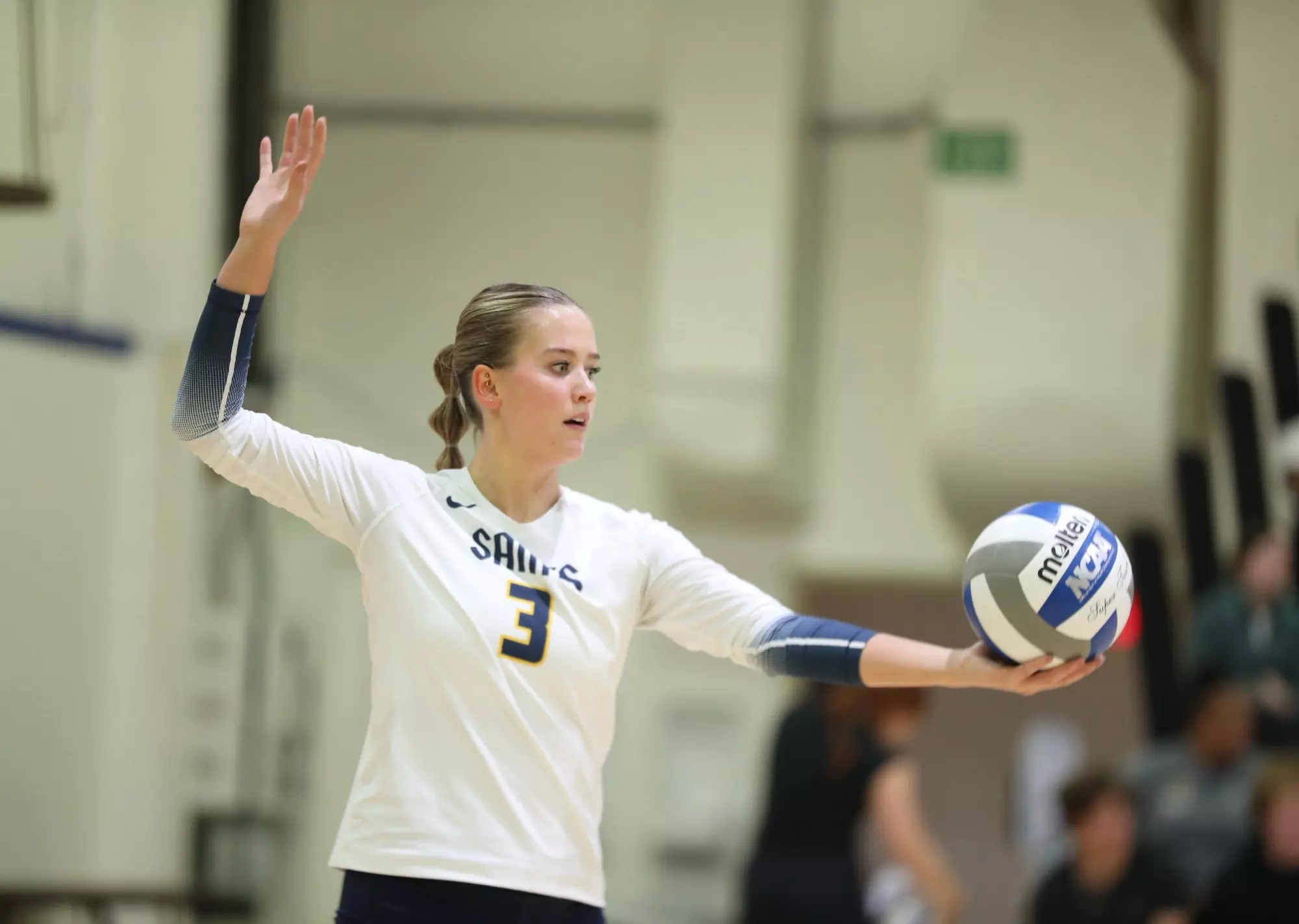 Volleyball Secures the Win on Senior Night The College of St