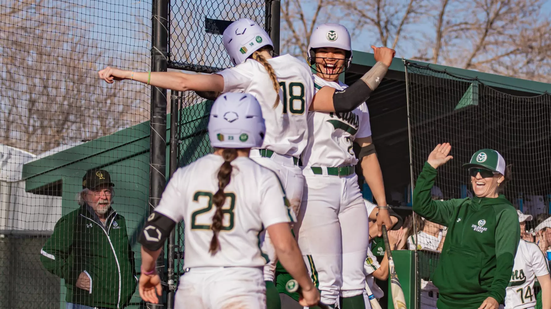 Softball celebrate