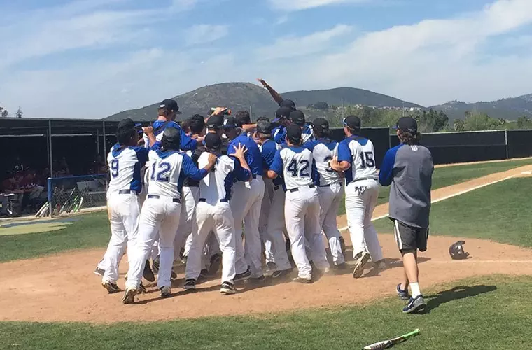 Baseball Celebration
