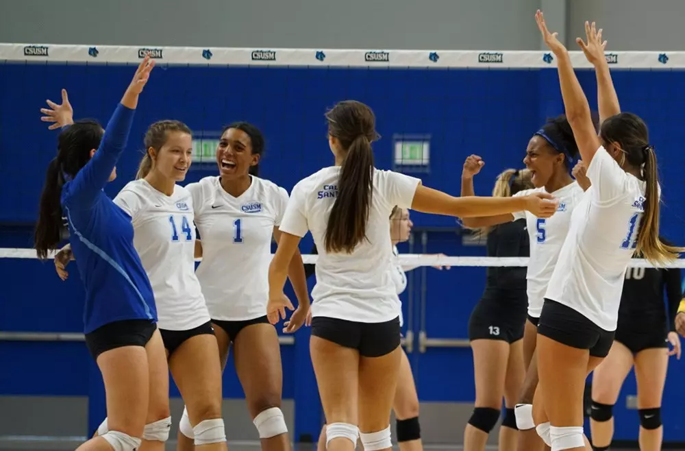 Volleyball celebration