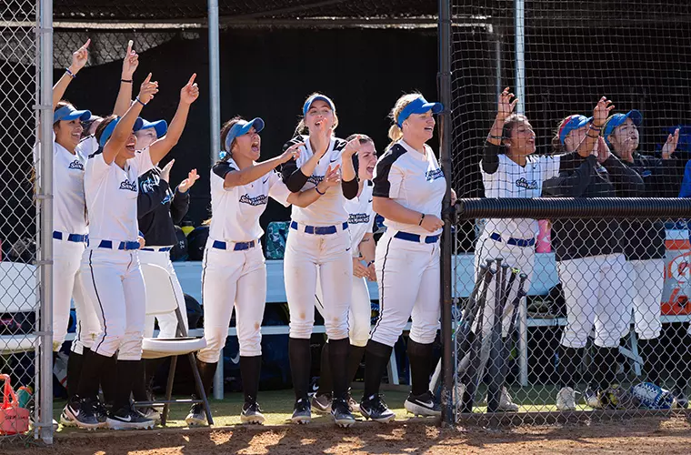 Softball Dugout Celebration