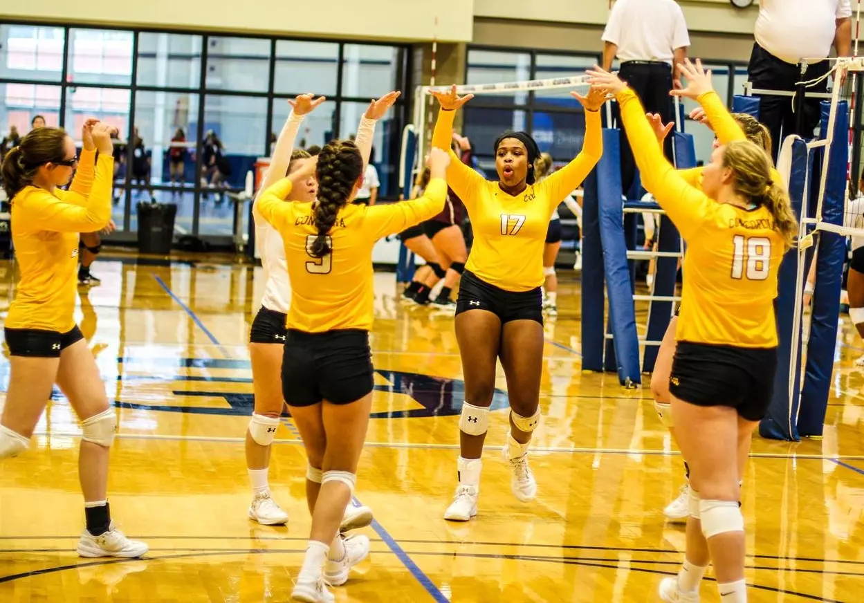 VB Team