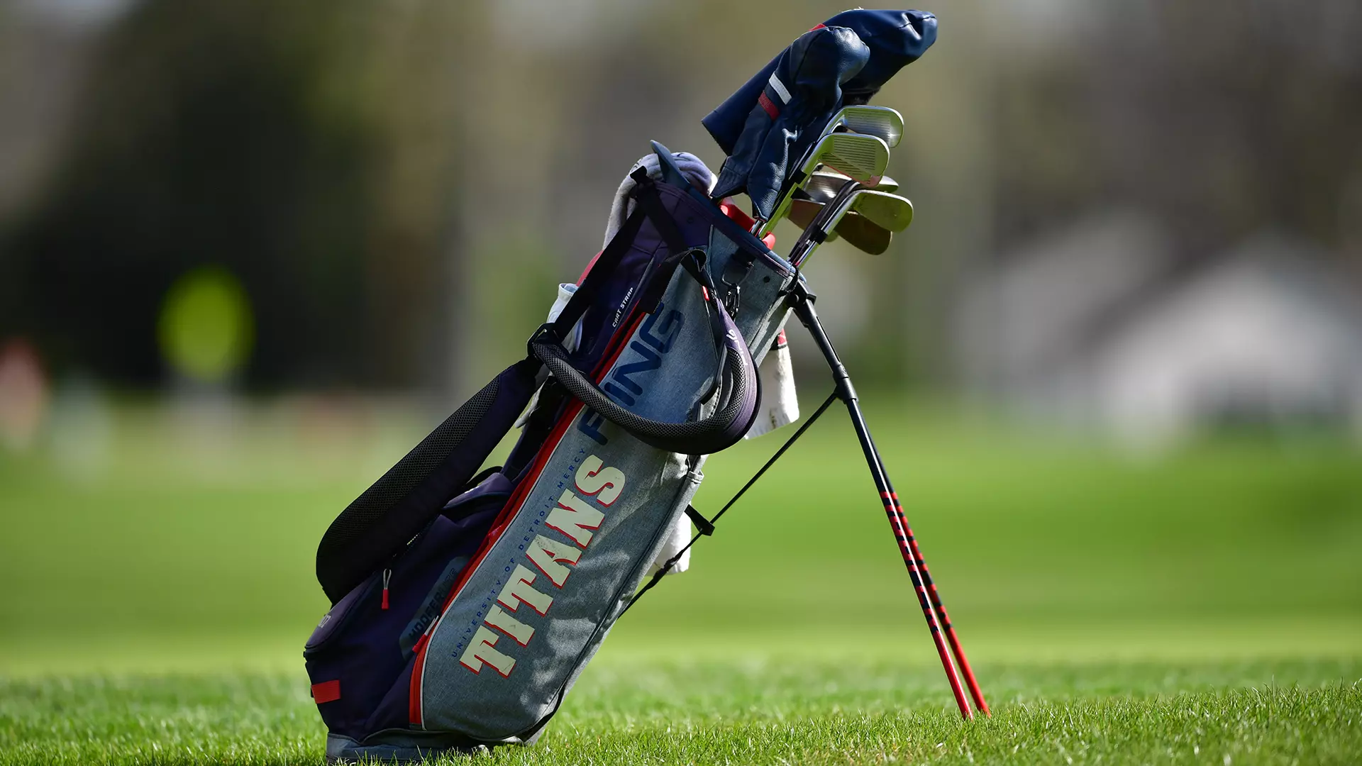 Golf Bag