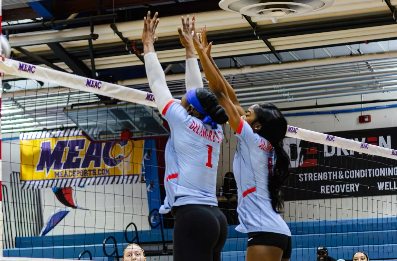 Drop in Match Against Tennessee Tech Delaware State University