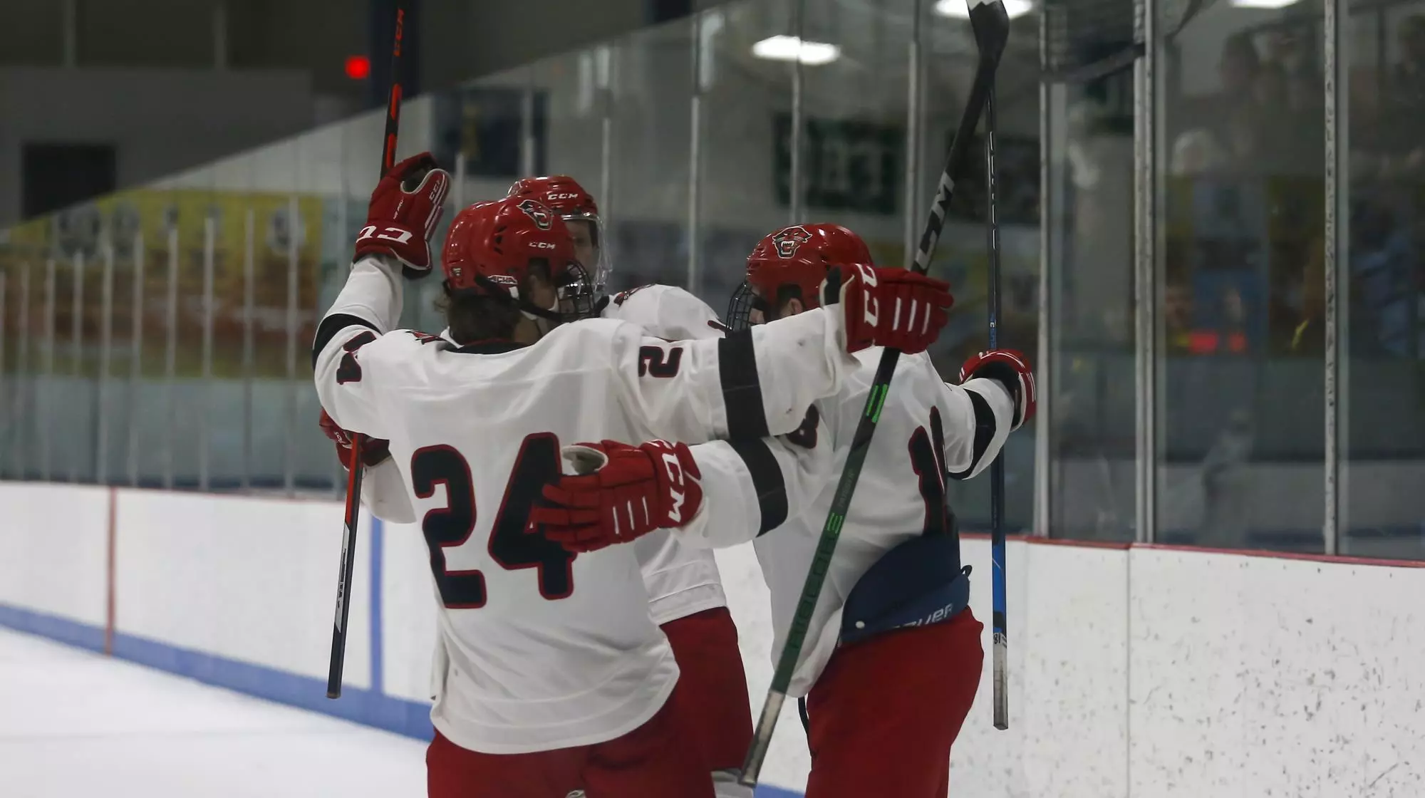 Goal D2 Hockey