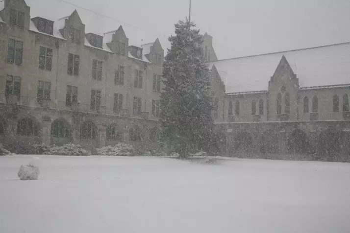 Snow Day