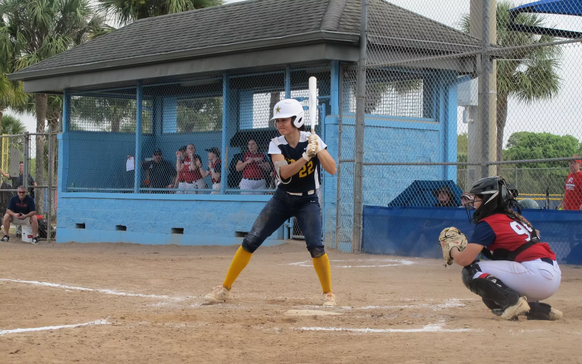 Sommesi at the Plate