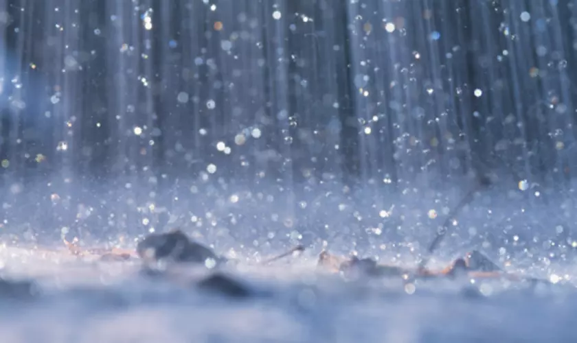 Rain