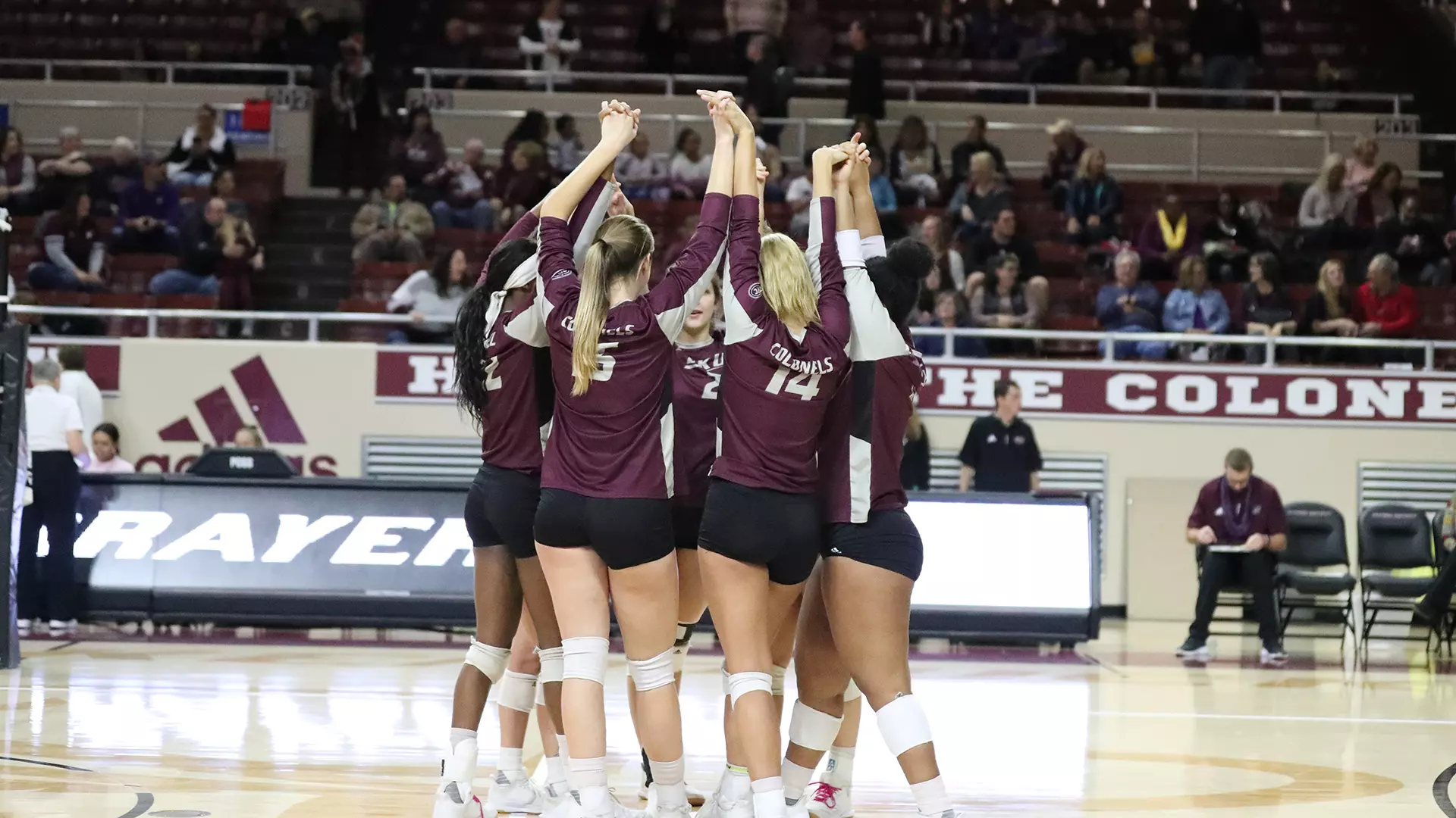 team (volleyball)