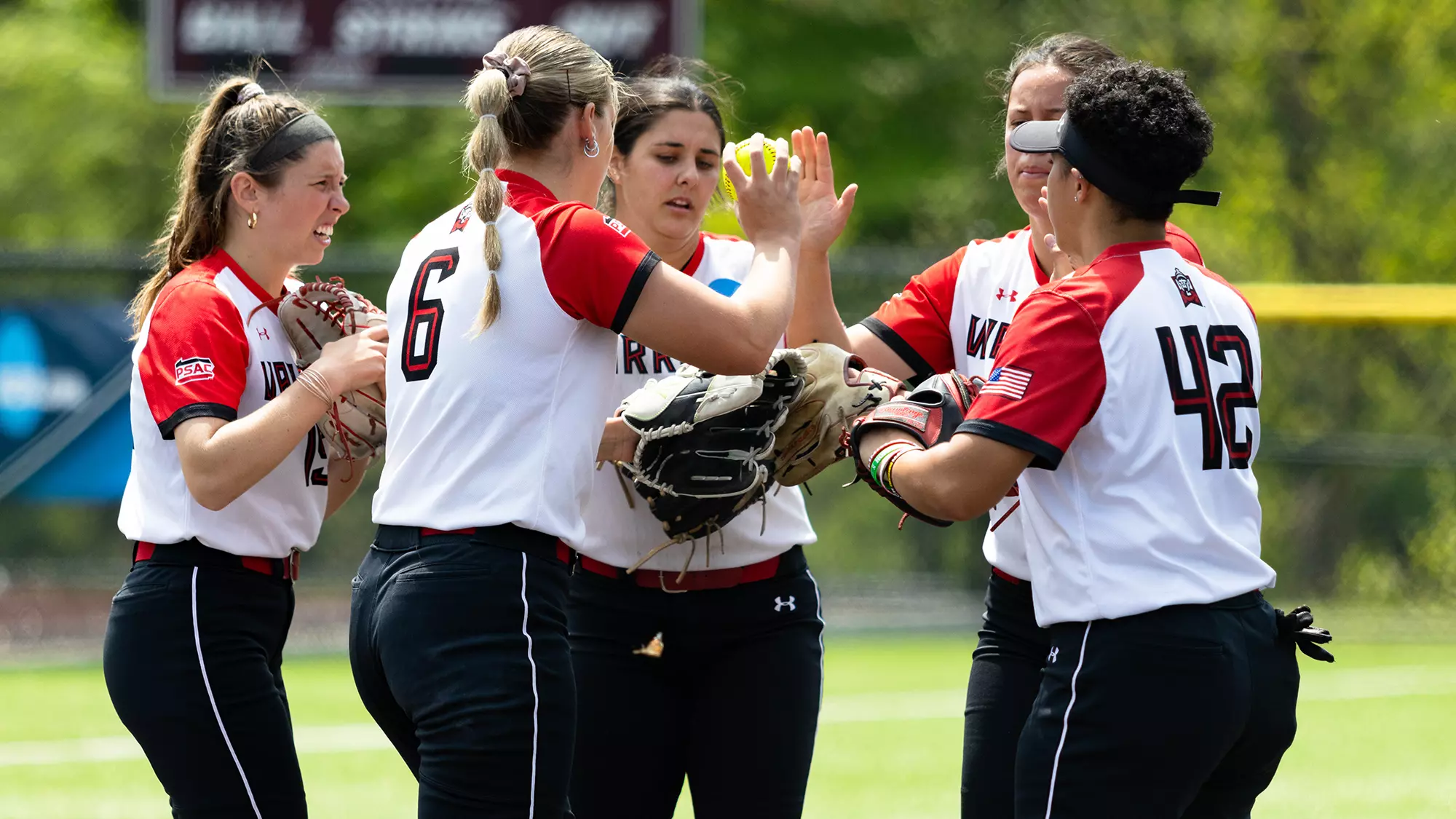 Softball NCAA