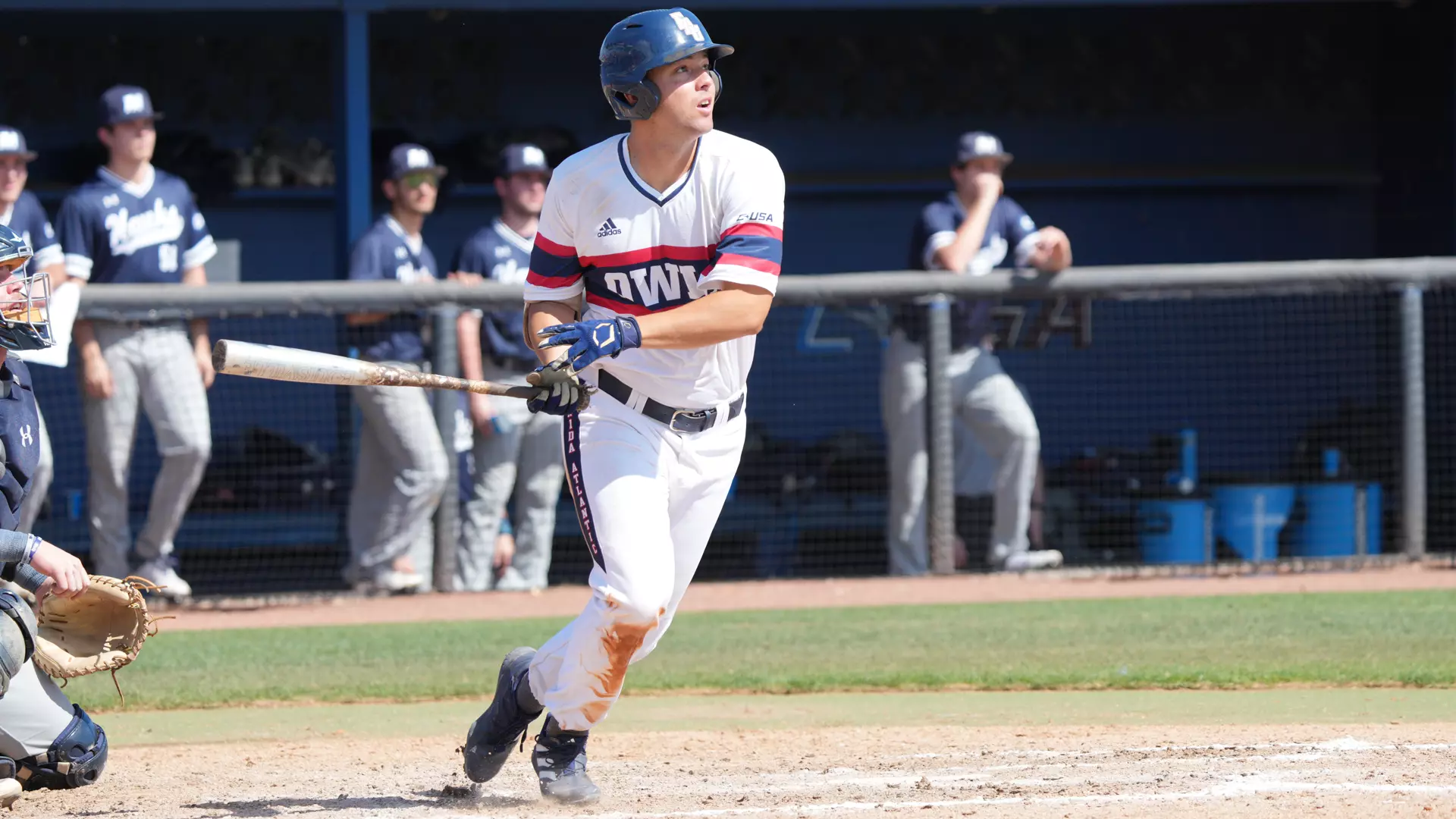 Nolan Schanuel - Baseball - Florida Atlantic University Athletics