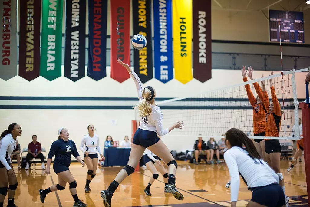 vbswings