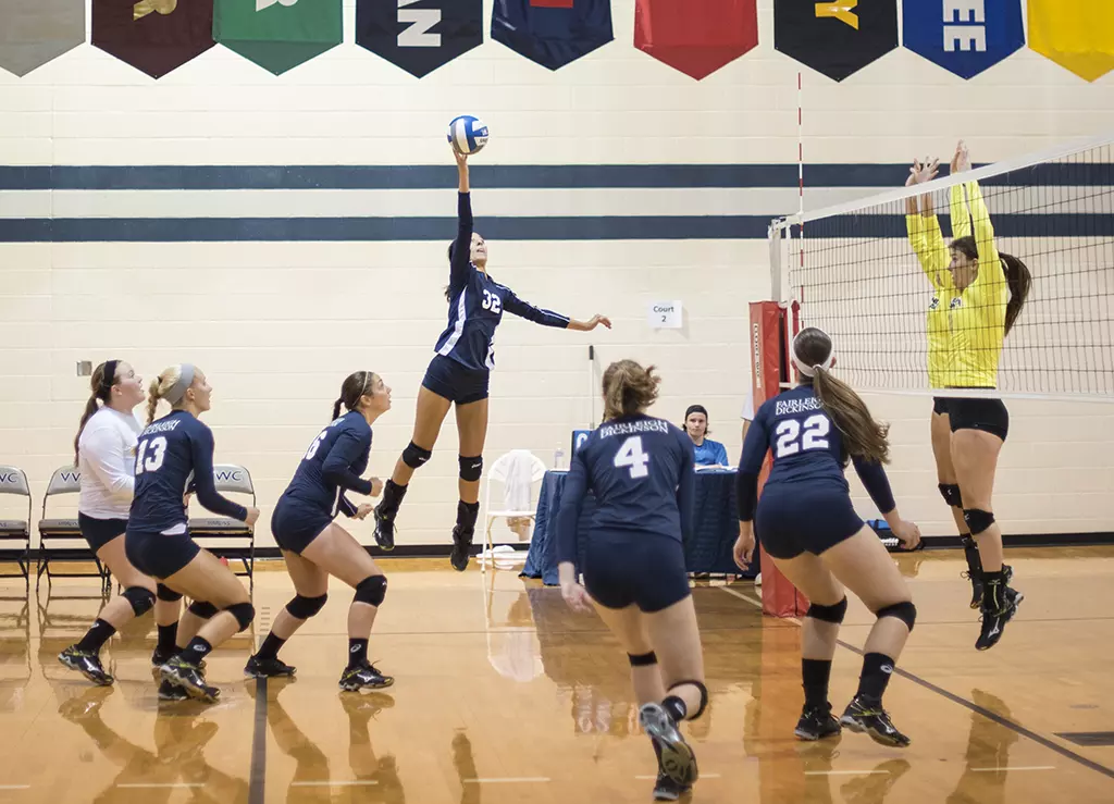 volleyball