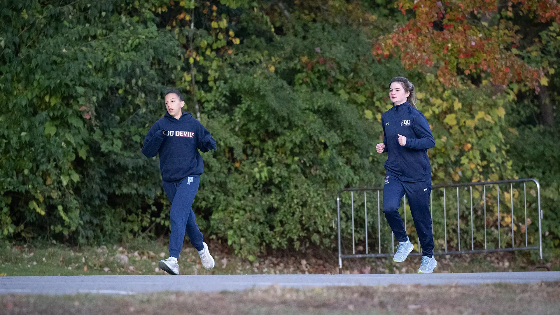 wxc