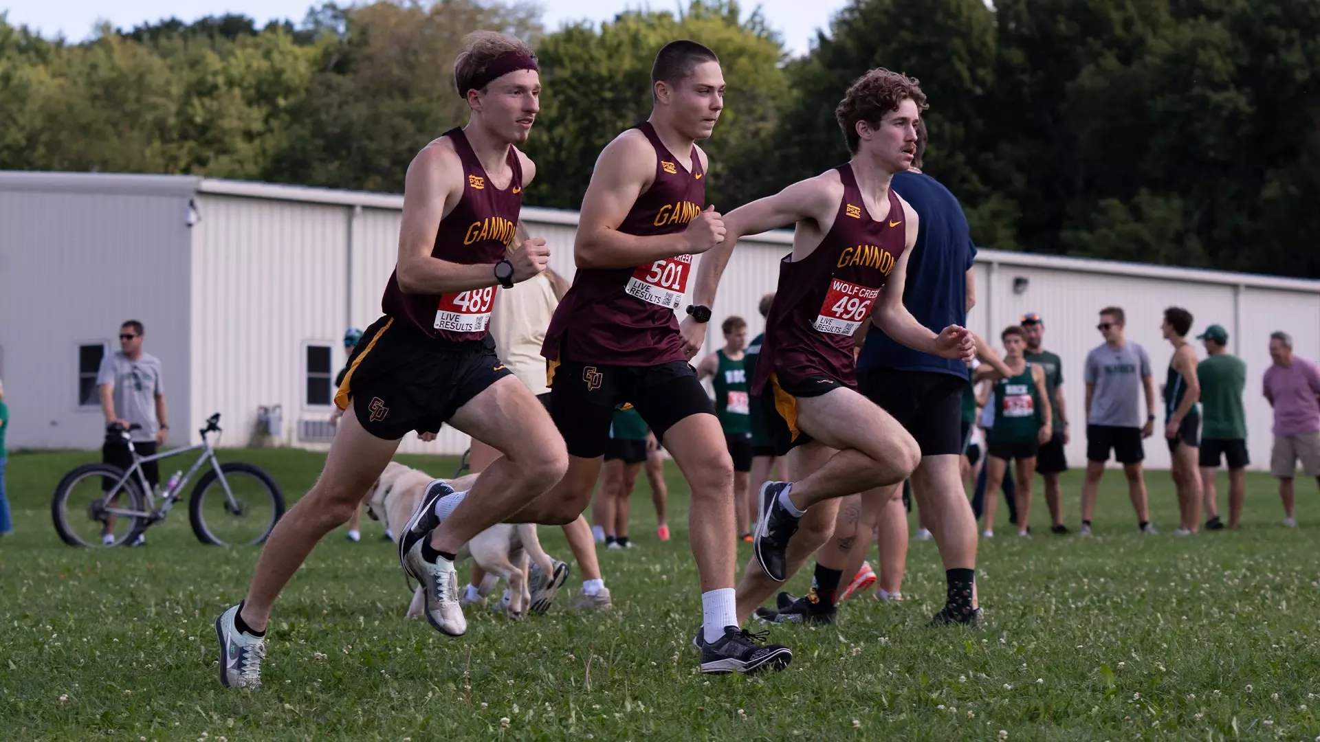 Men's XC