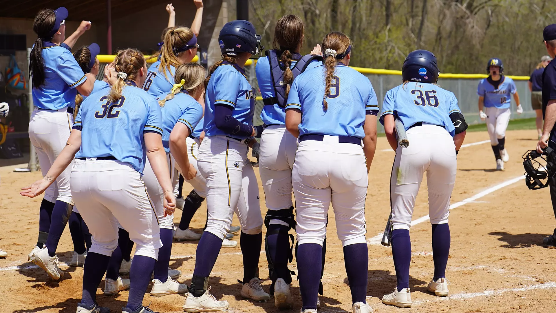 AU Softball NSIC Tournament