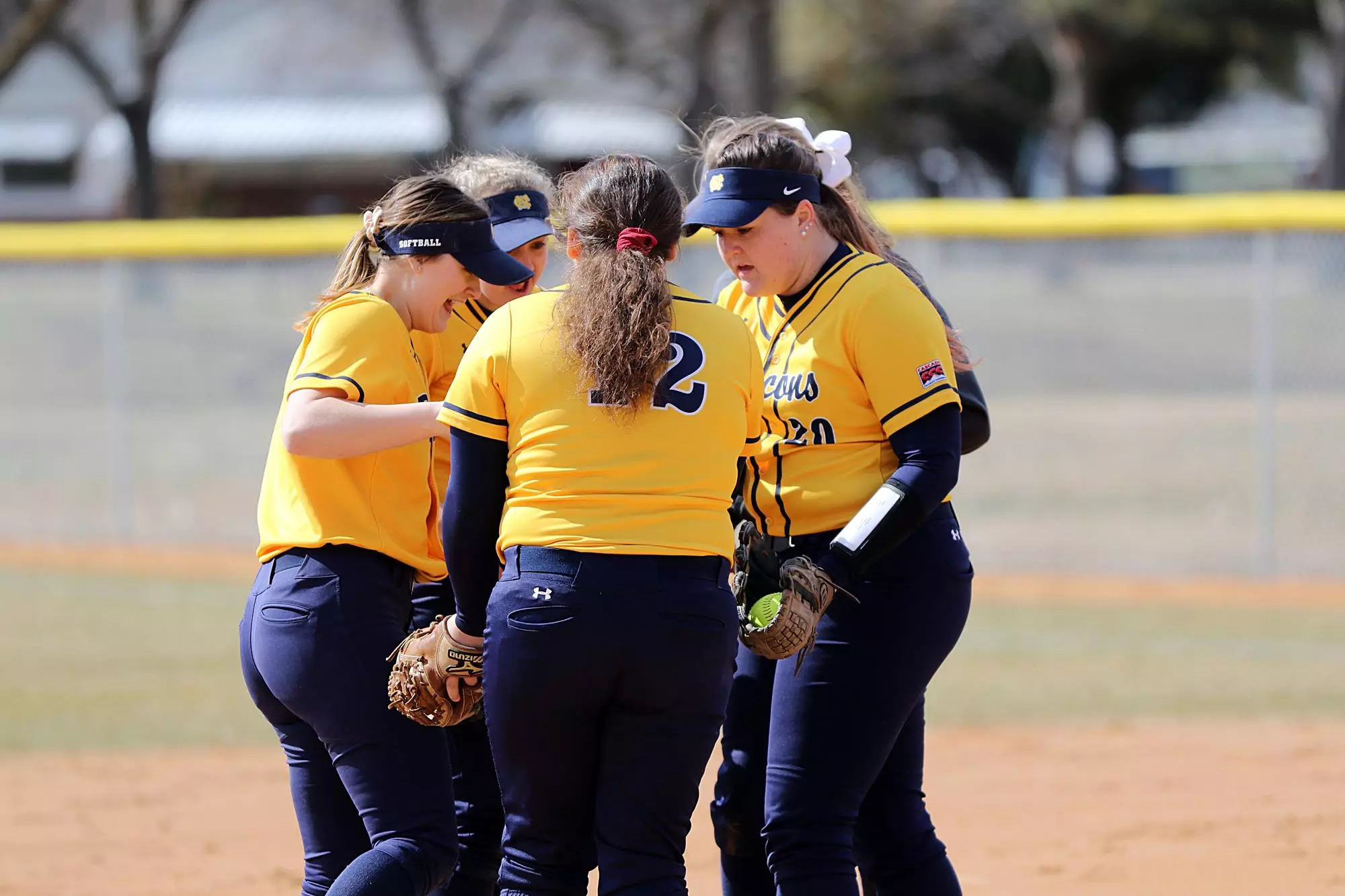 2019 Softball
