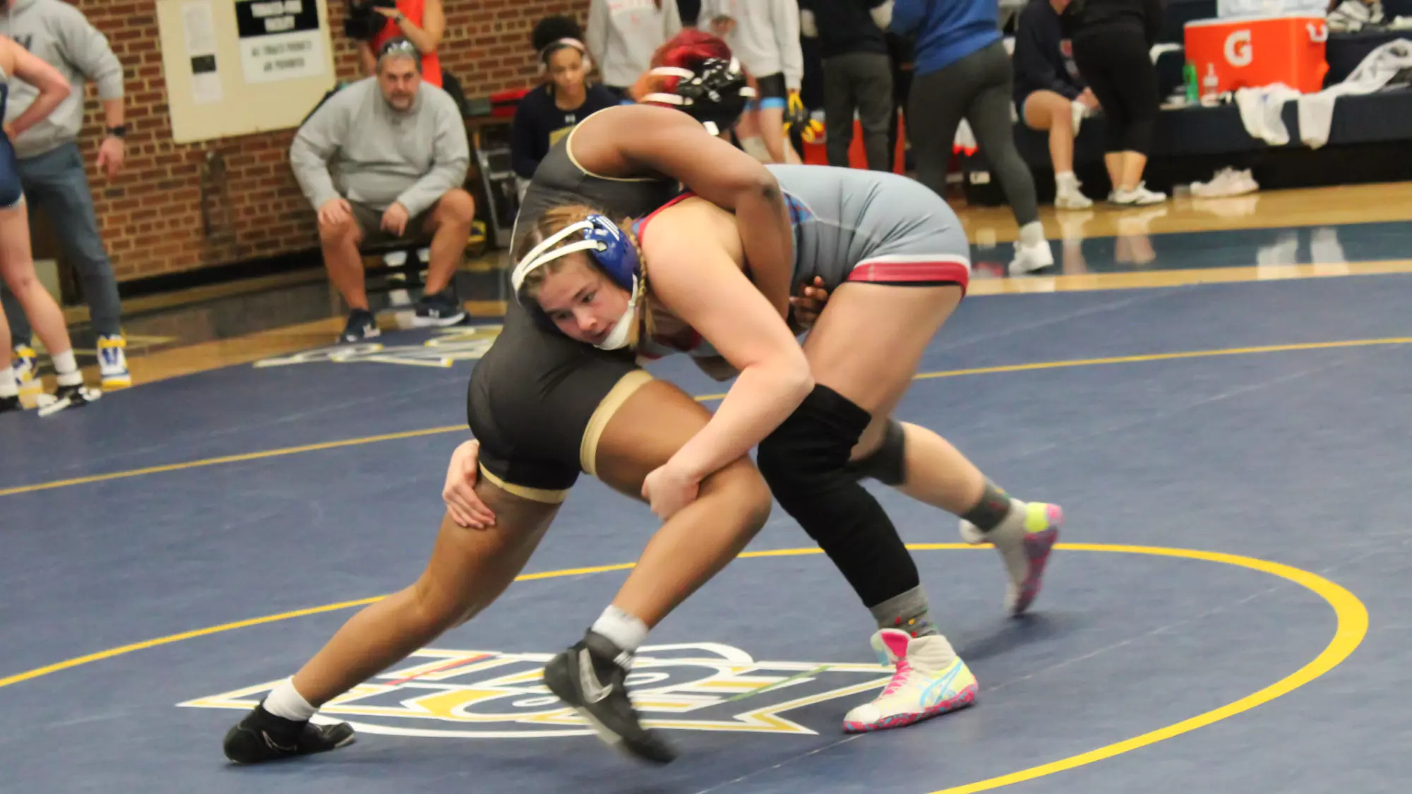 Henlee Haynes at Wasp Open