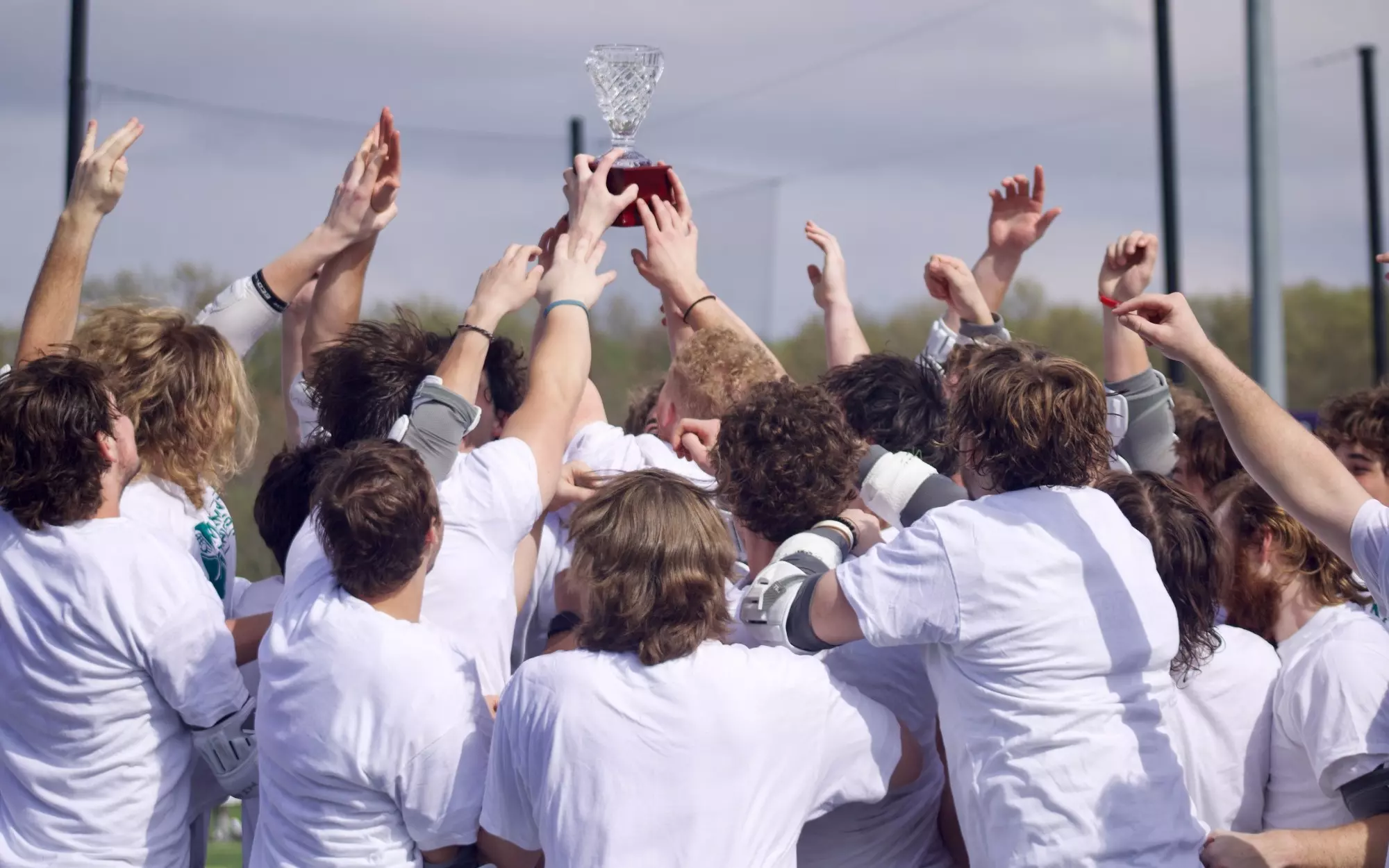 mlax