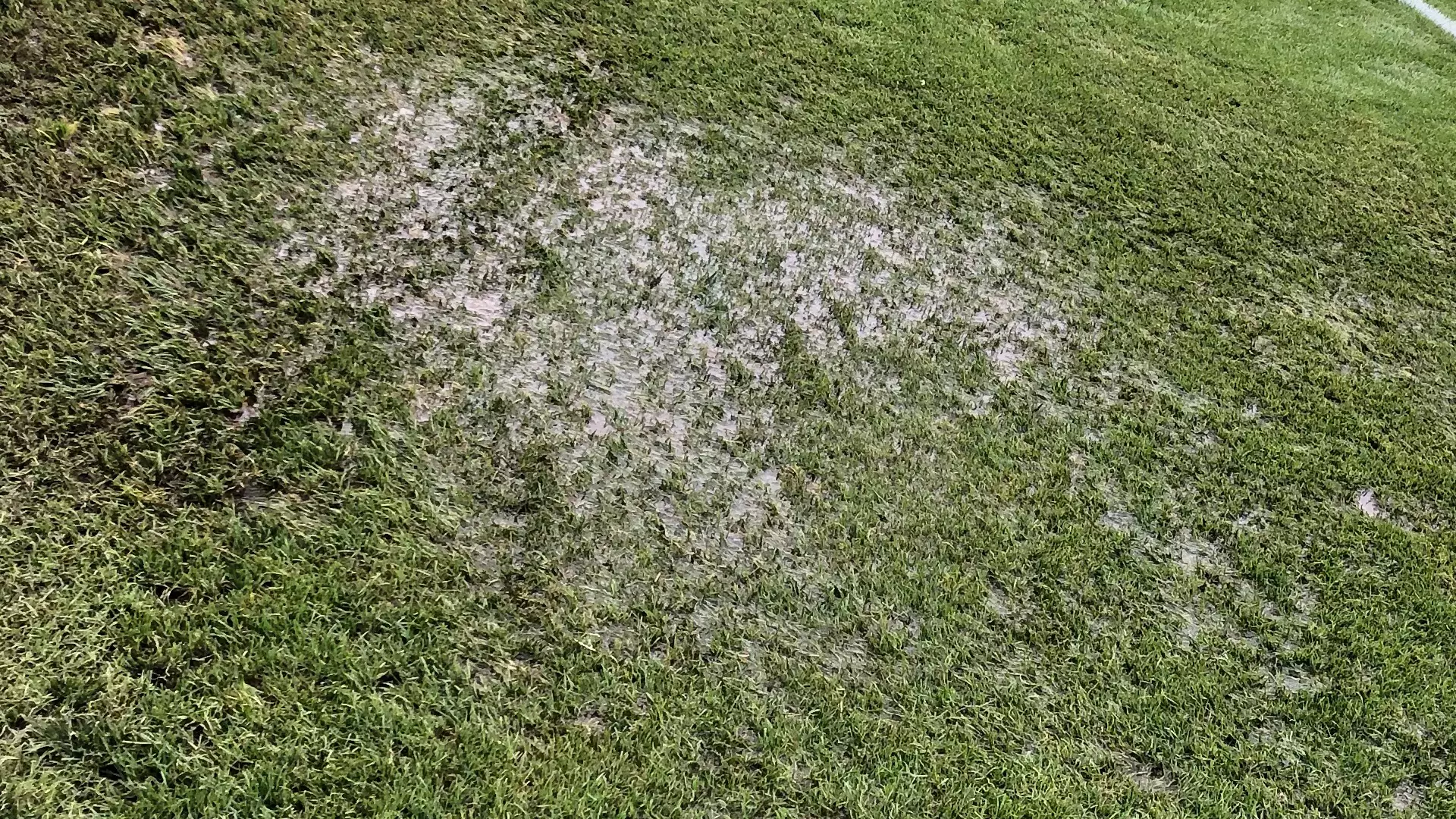 UTA field under water