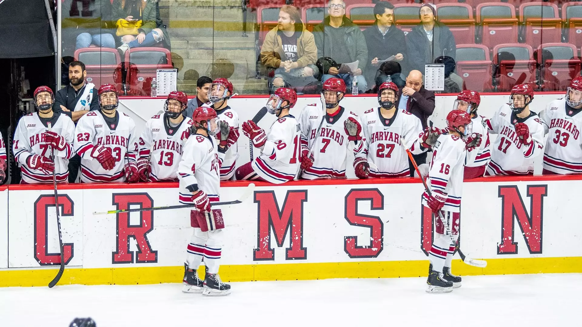 Hockey Team Bench Shot