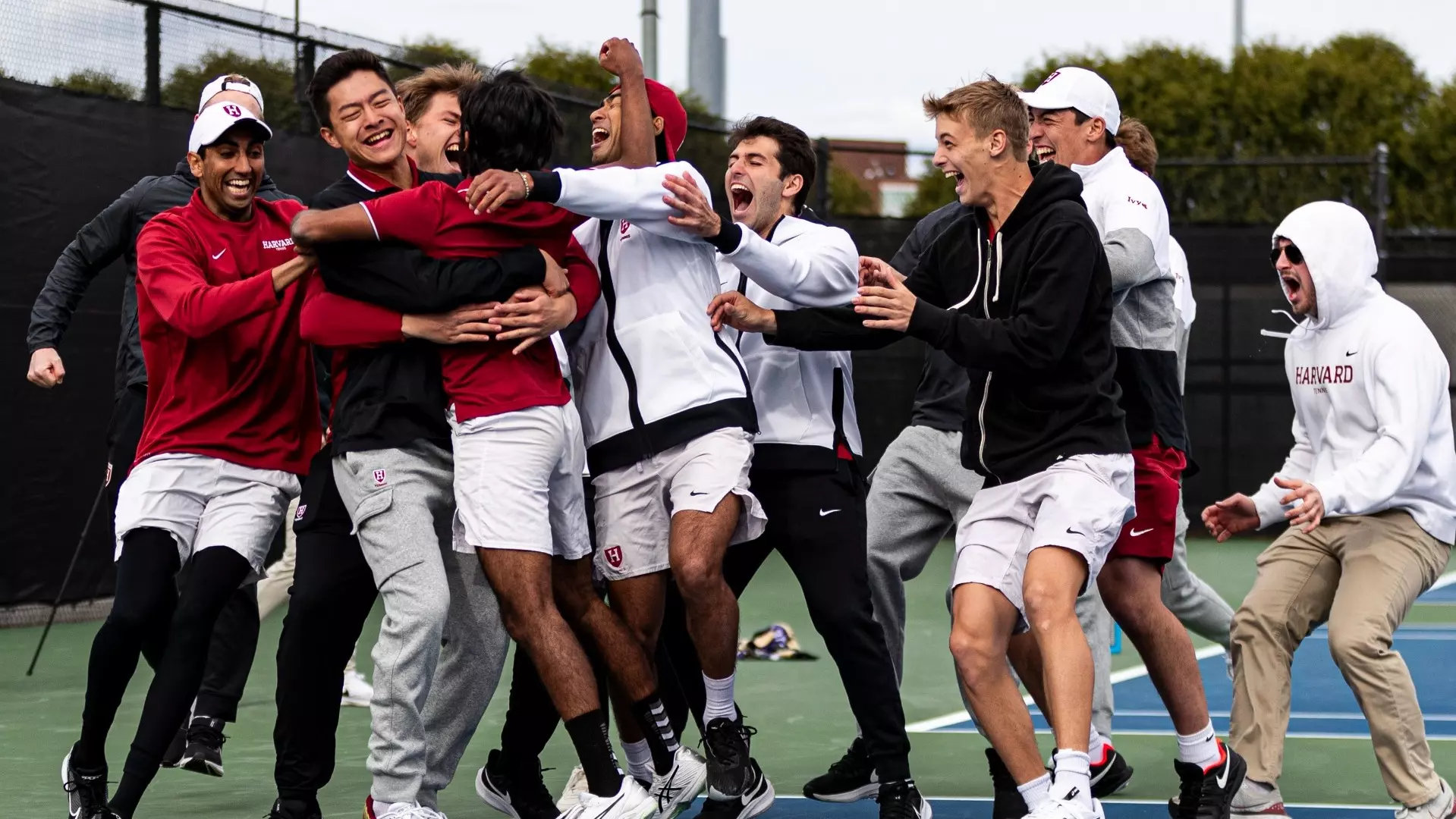 Harvard men's tennis ivy celebration