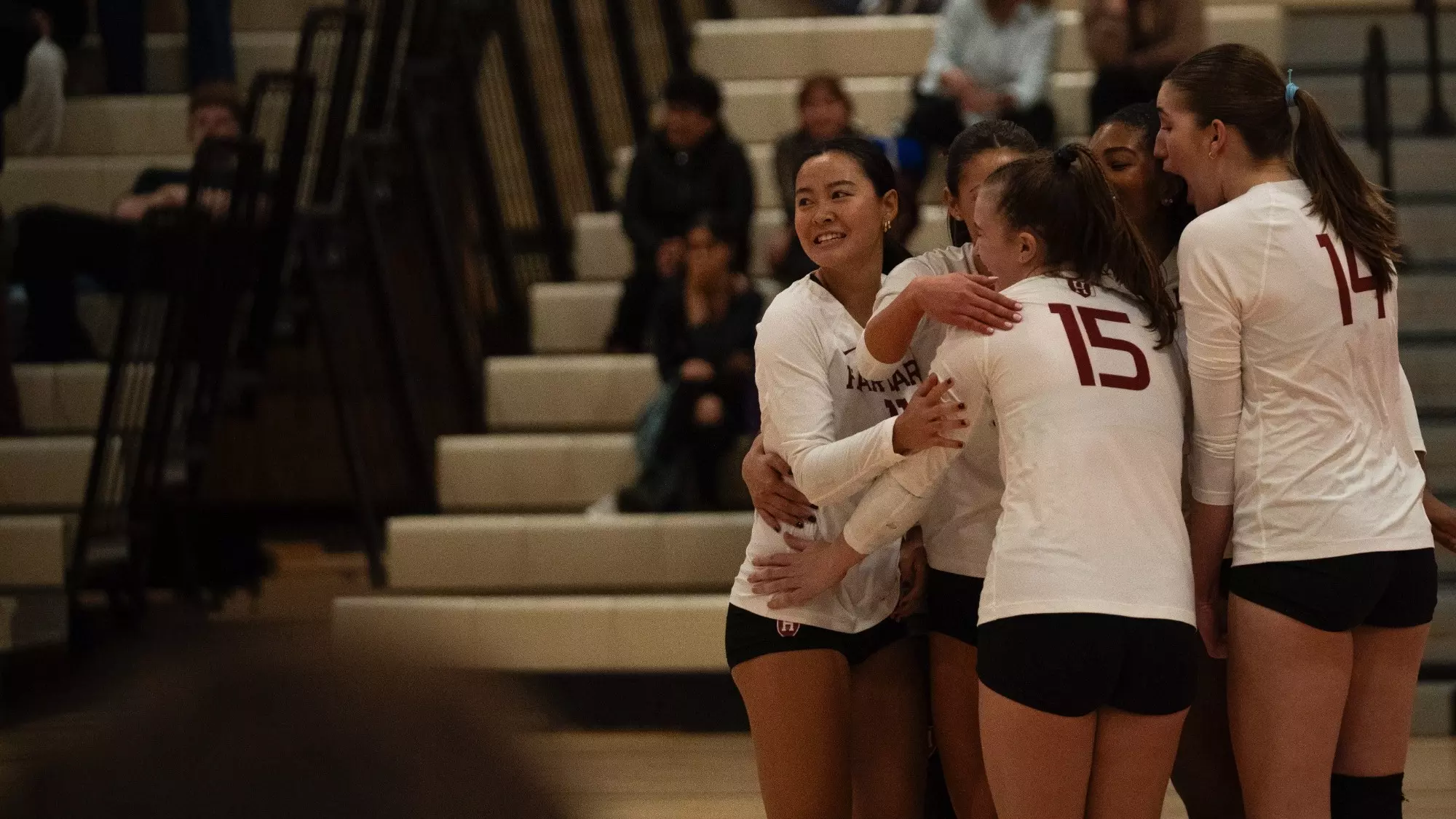 Harvard women's volleyball