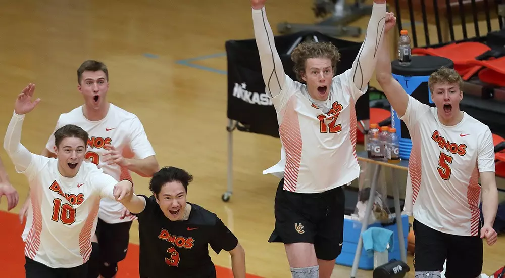 team, celebration