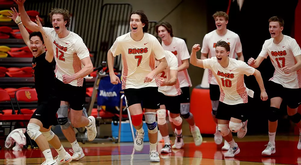 team, celebration, bench