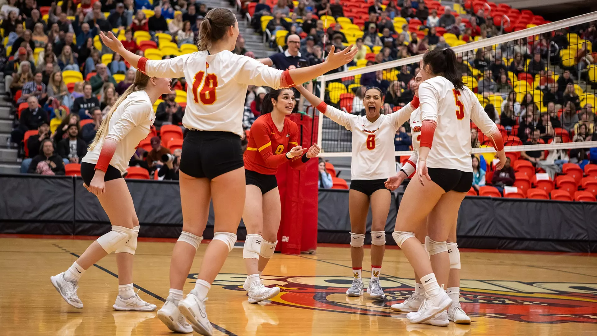 team, win, celebration