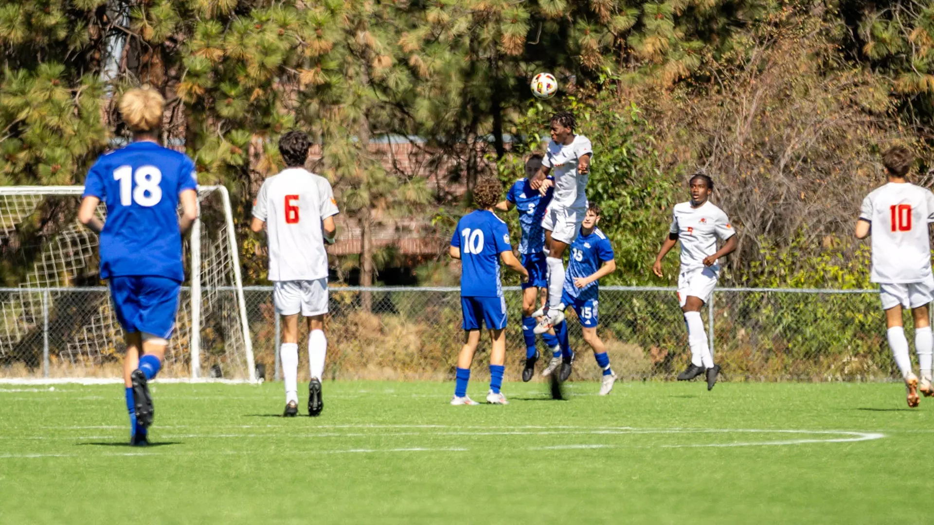 Dominic Anamali, header
