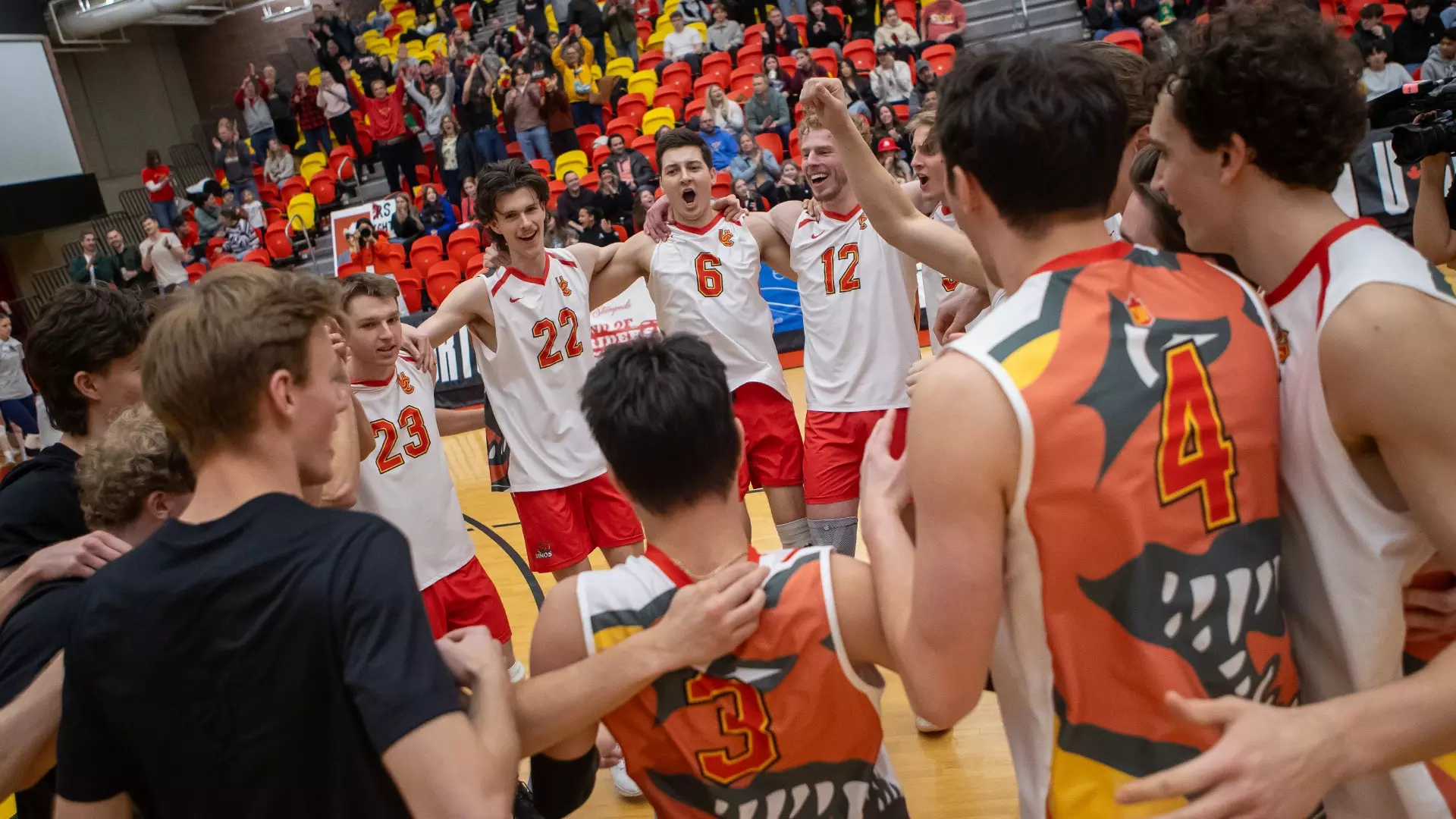 team, win, celebration