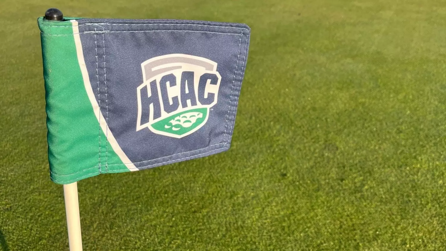 WGOLF 5/12