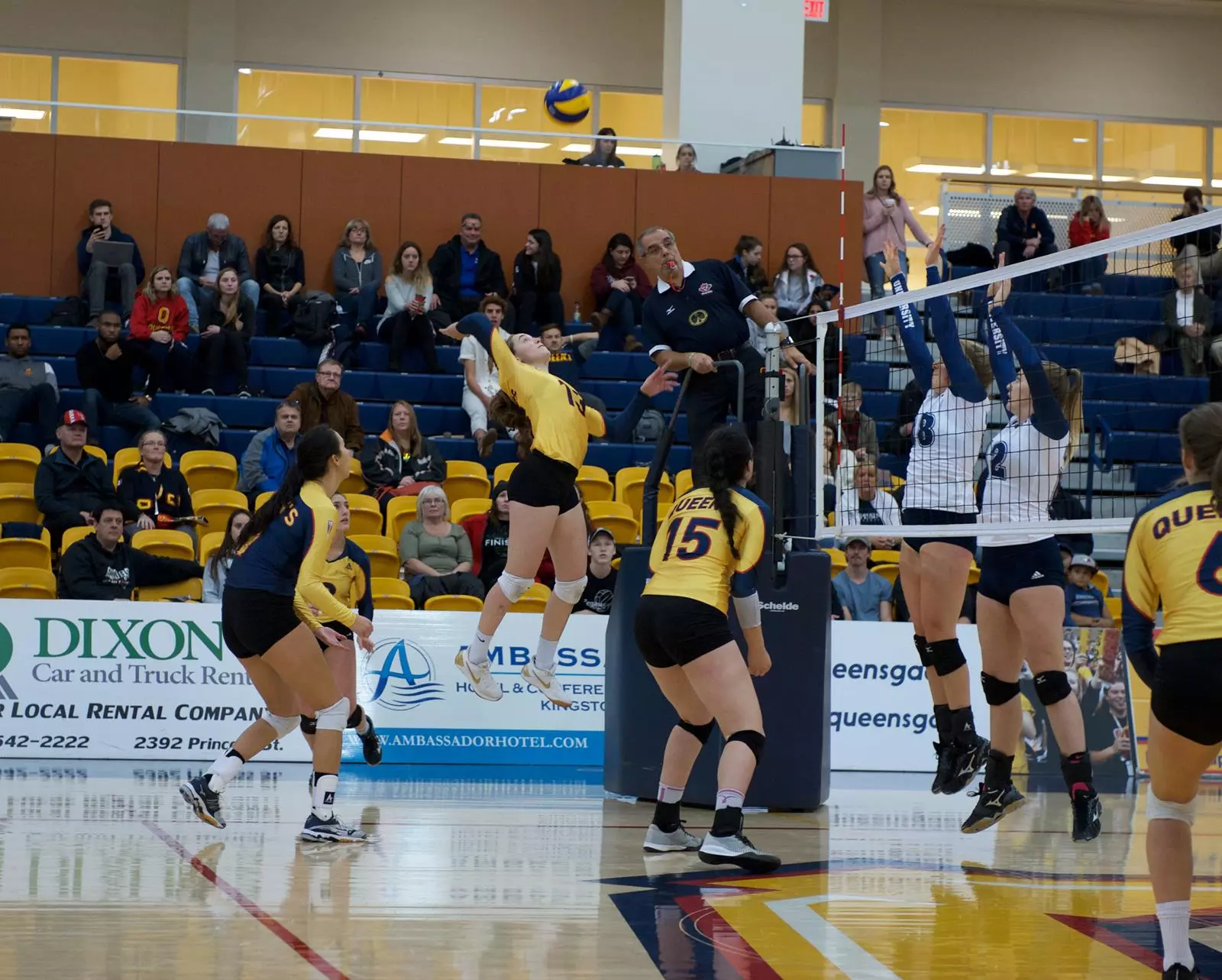 wvb gaels