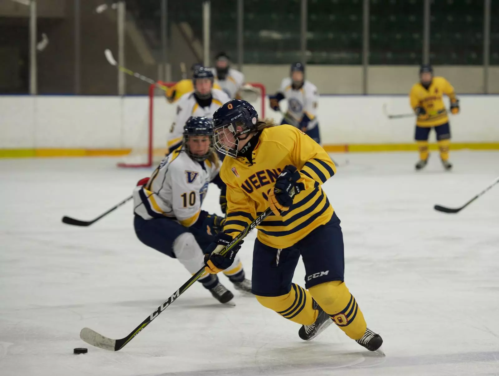 whky vs lu