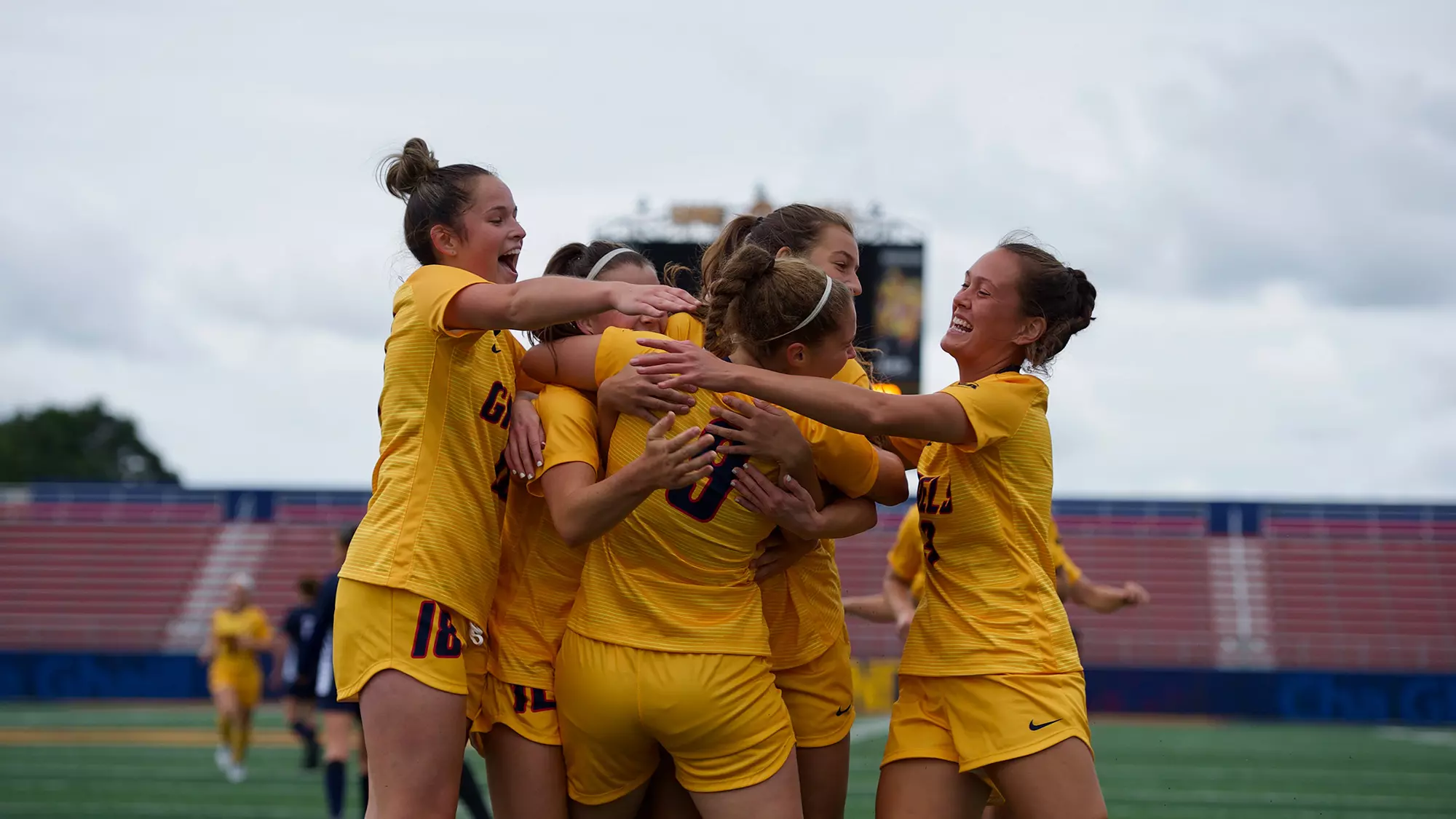 wsoc toronto
