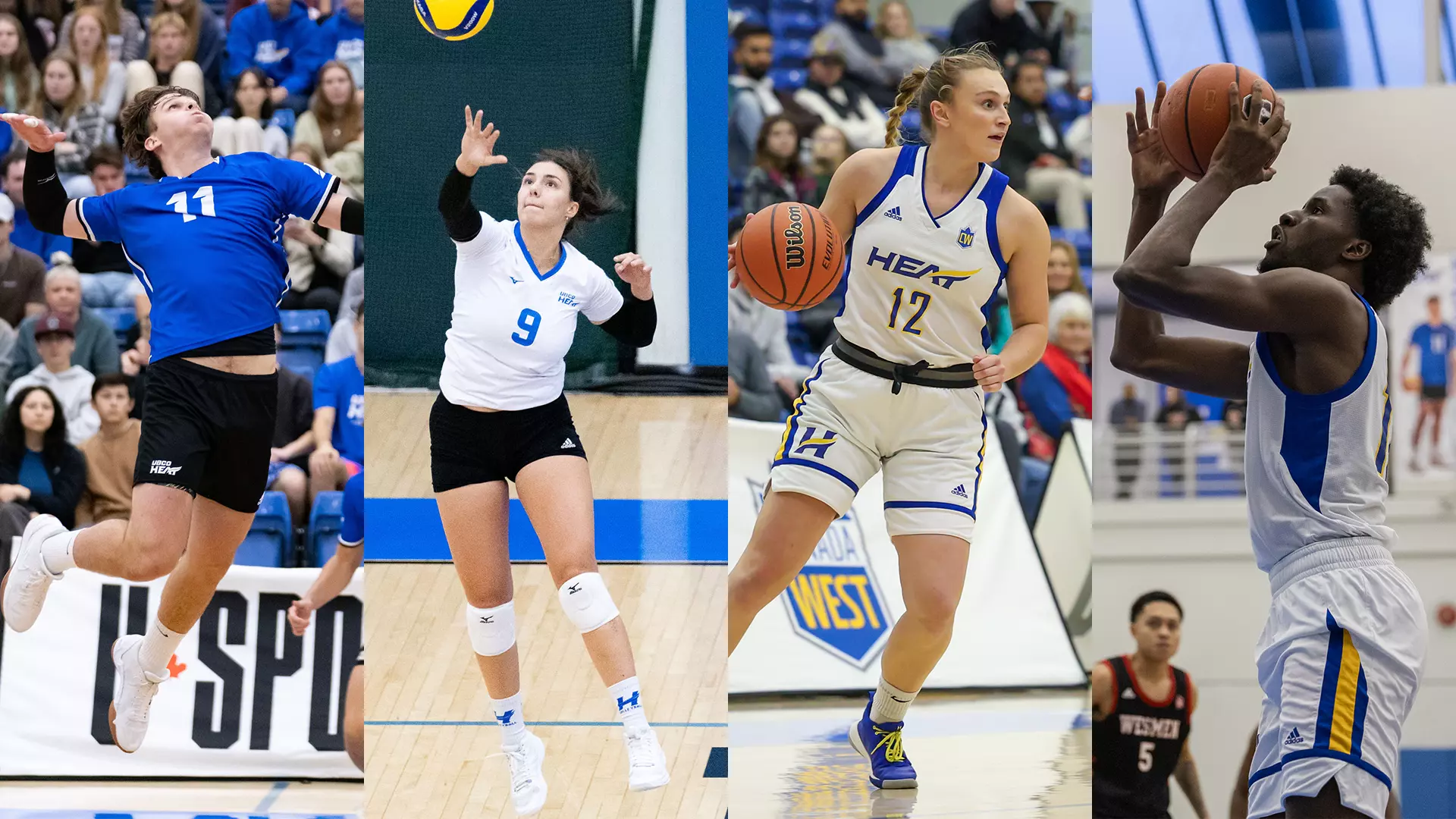 From left to right, men's volleyball, women's volleyball, women's basketball and men's basketball will all be in action this week