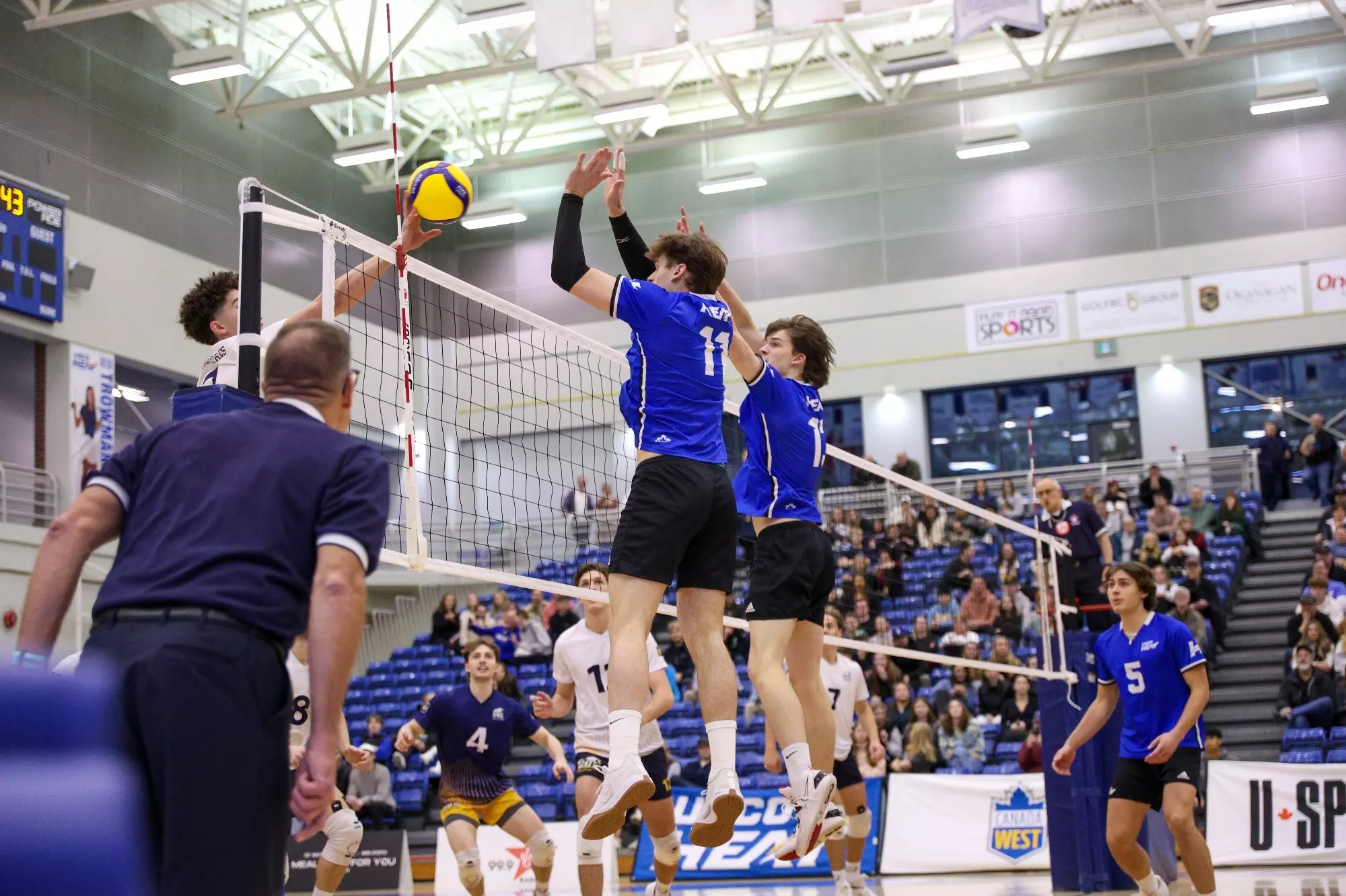 Petryk-Van Geel Block vs Thunderbirds