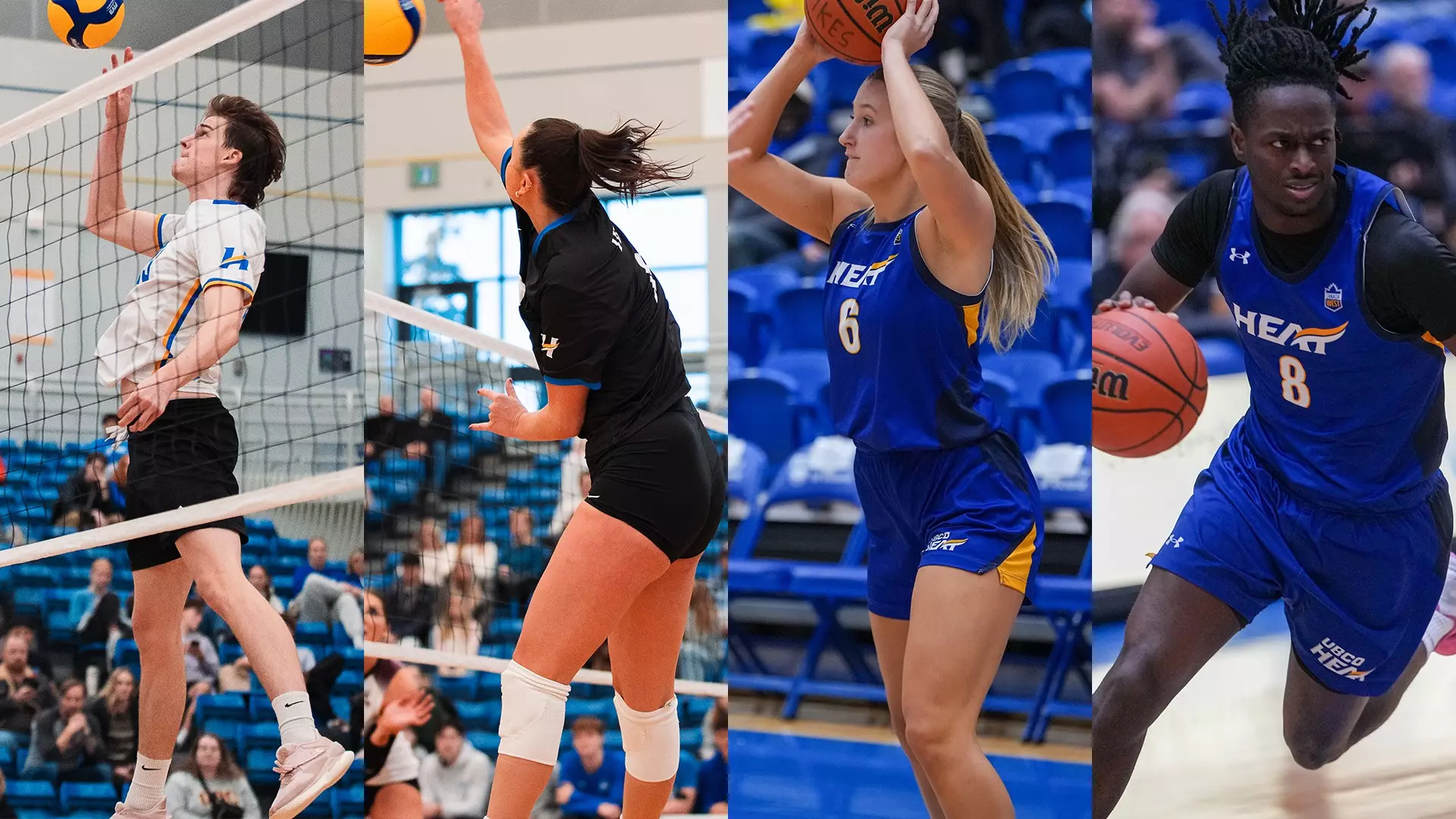 From left to right men's volleyball, women's volleyball, women's basketball and men's basketball are all in action this week.