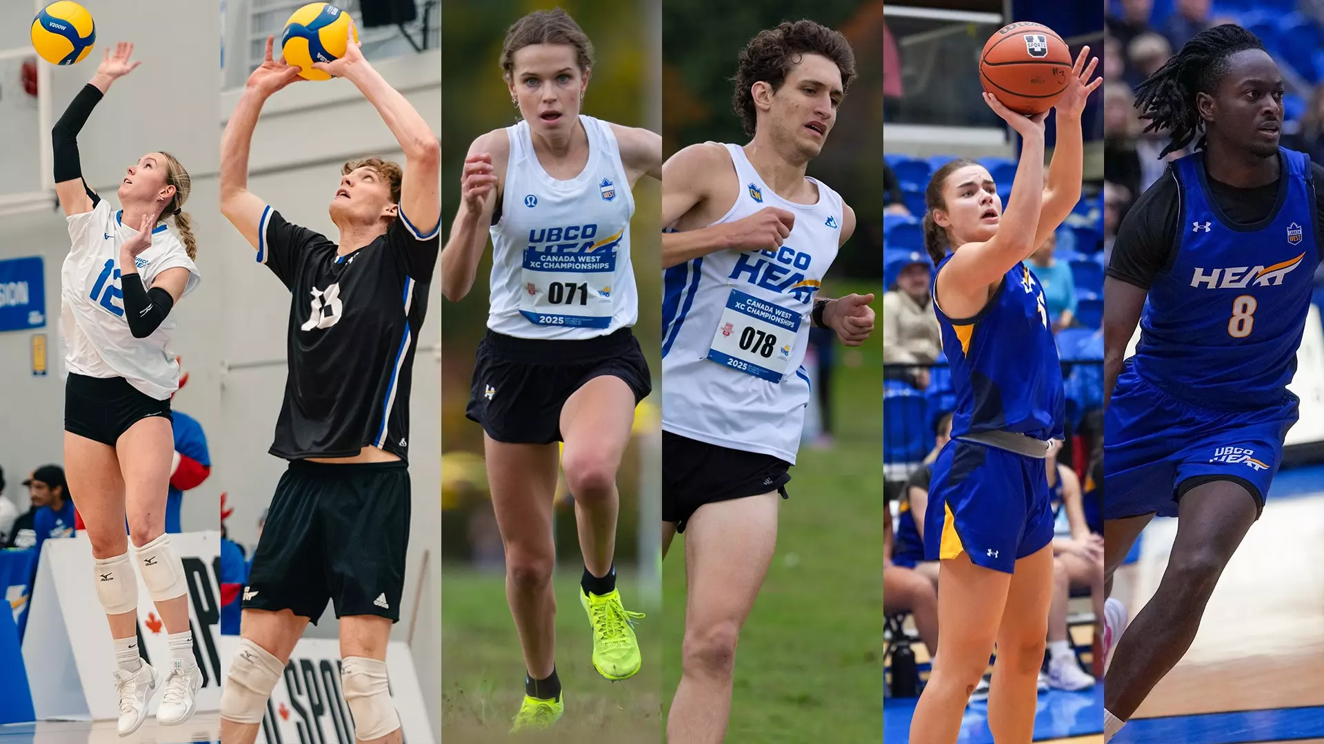From left to right women's volleyball, men's volleyball, women's cross country, men's cross country, women's basketball and men's basketball are all in action this week.
