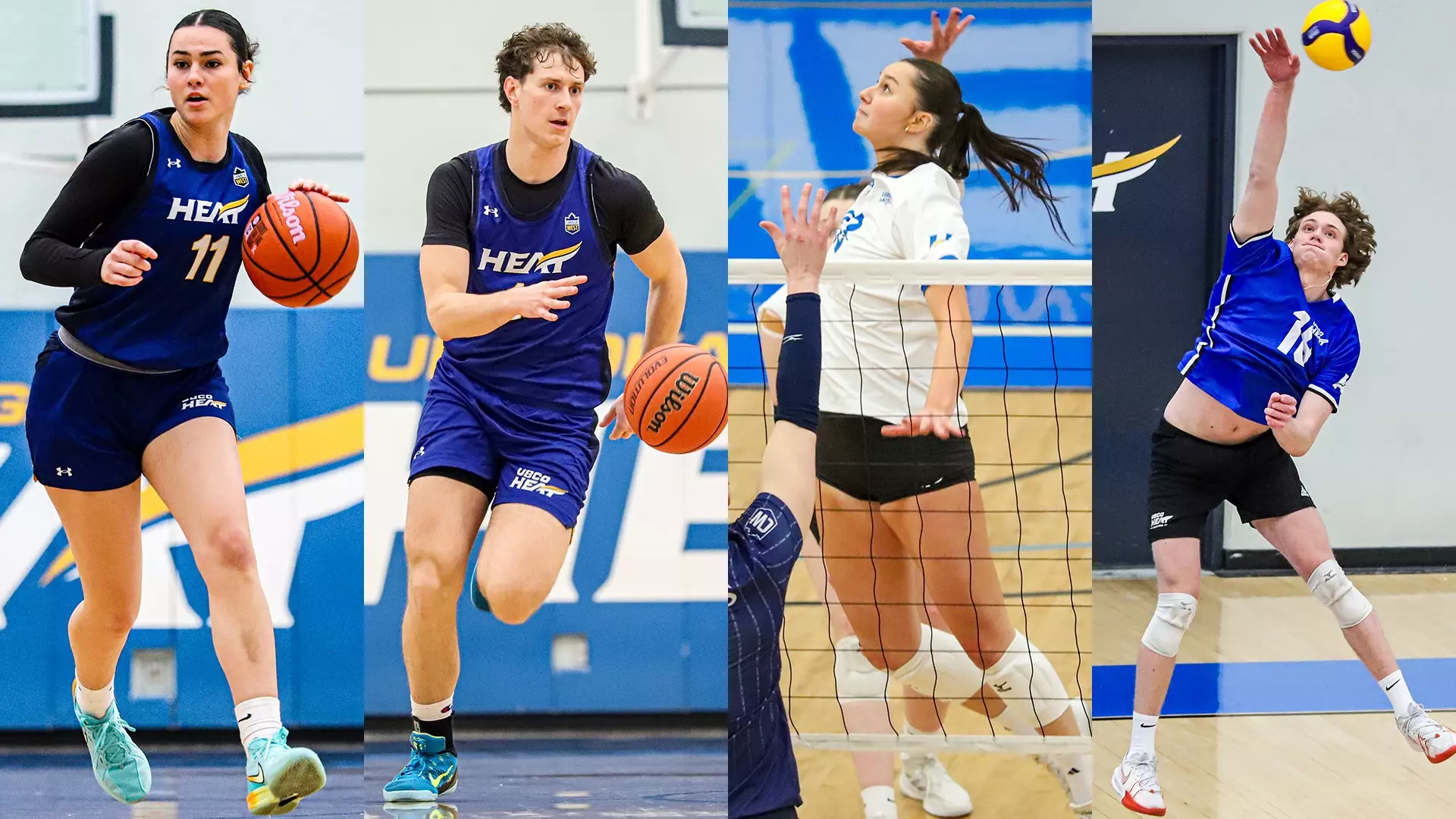From left to right, women's basketball, men's basketball, women's volleyball and men's volleyball will be in action for the Heat this weekend.