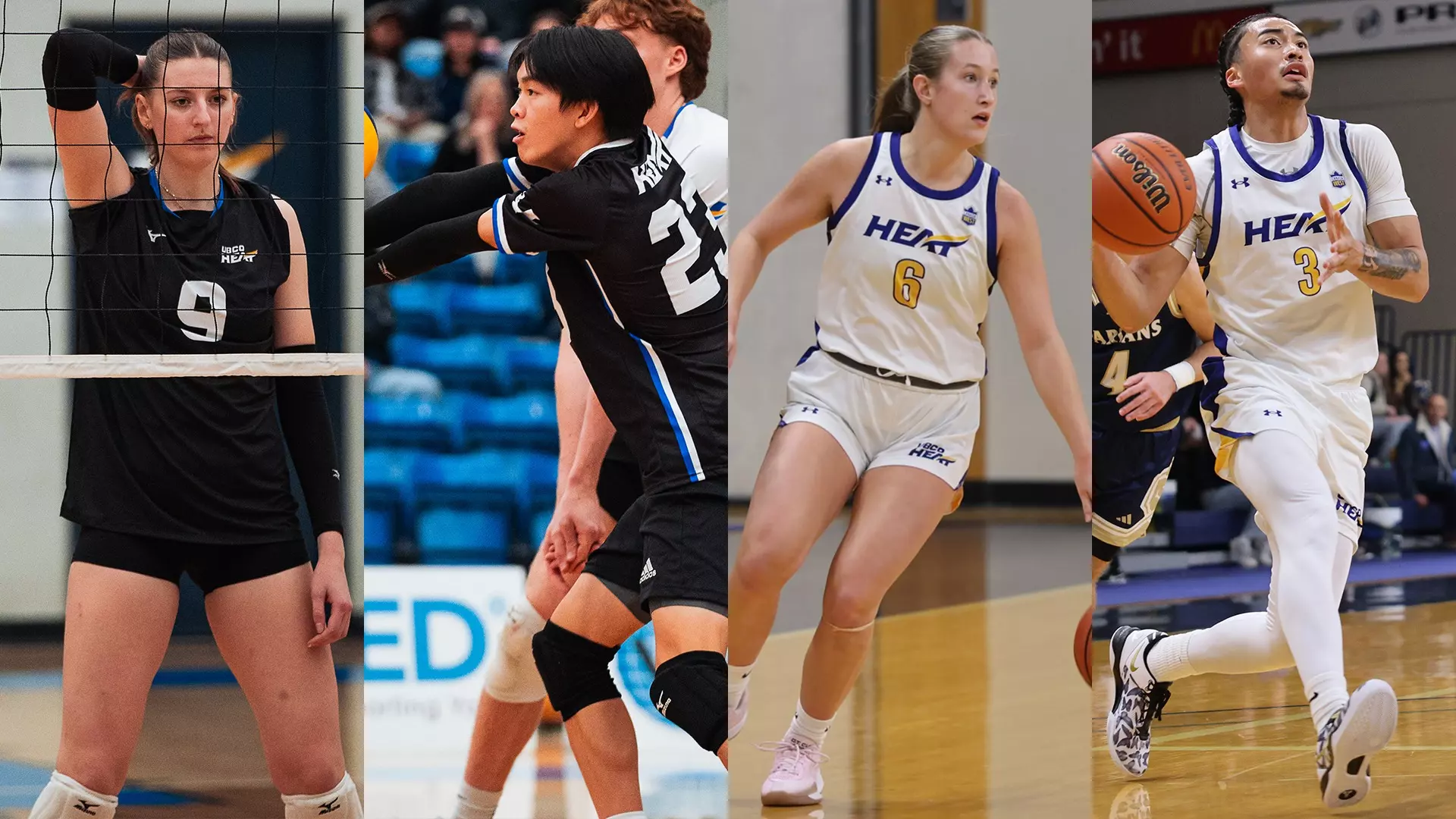 From left to right women's volleyball, men's volleyball, women's basketball and men's basketball will all be in action this weekend.