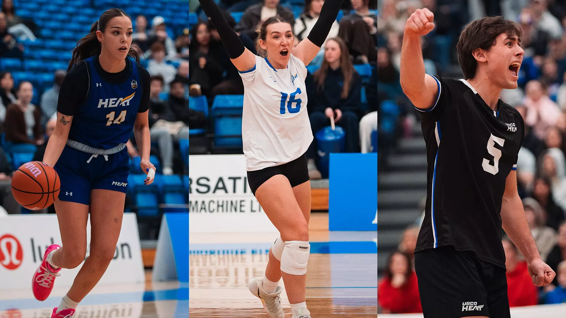 From left to right women's basketball, women's volleyball and men's volleyball will be in action this week for the Heat.