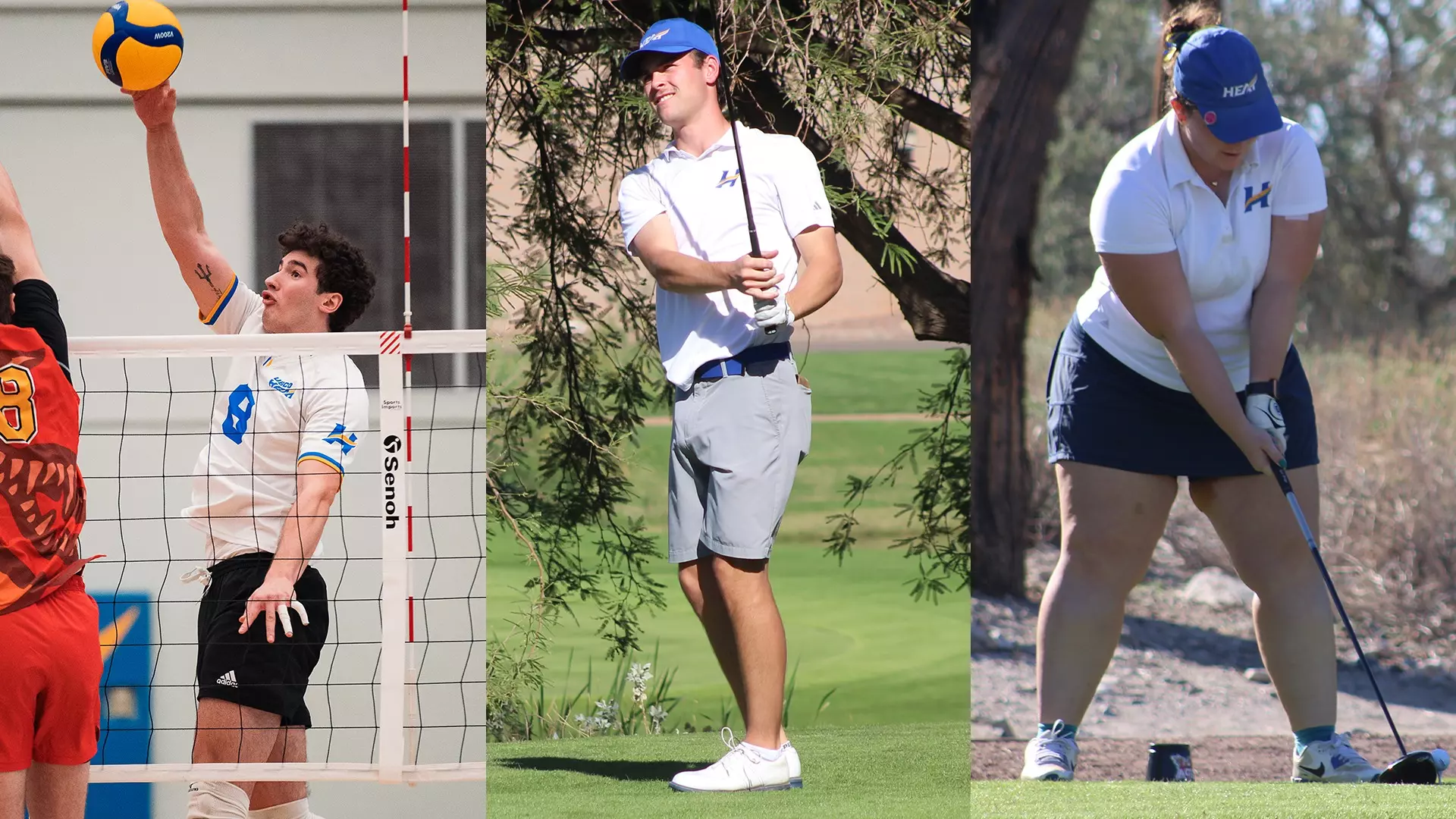 From left to right, men's volleyball, men's golf and women's golf will all be in action over the next week for the Heat.