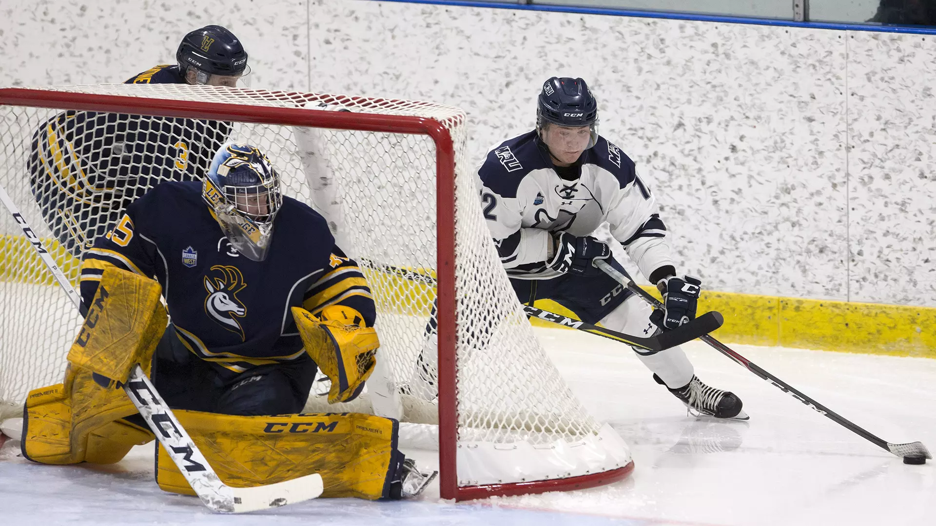 Pronghorns vs MRU